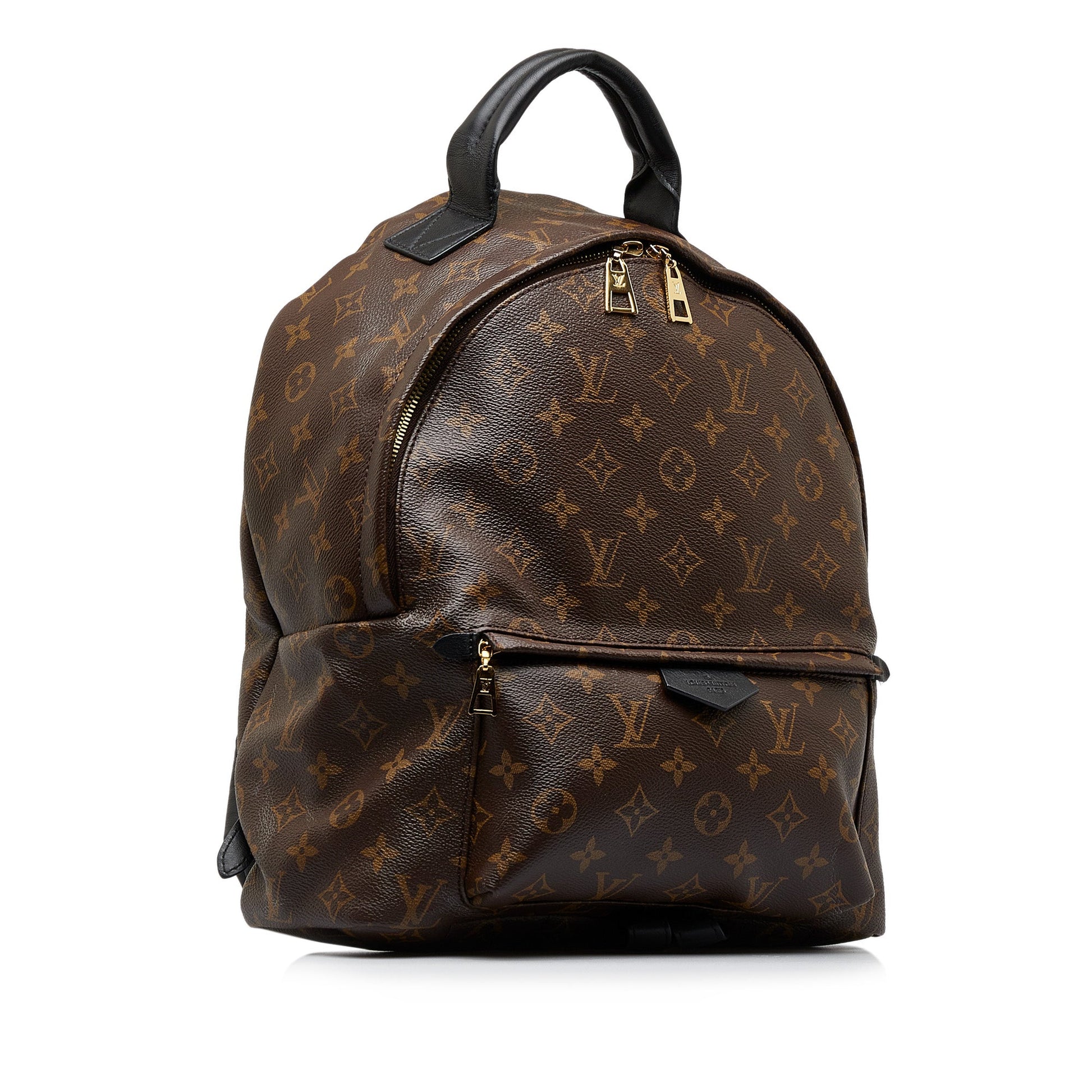 Louis Vuitton Monogram Palm Springs MM