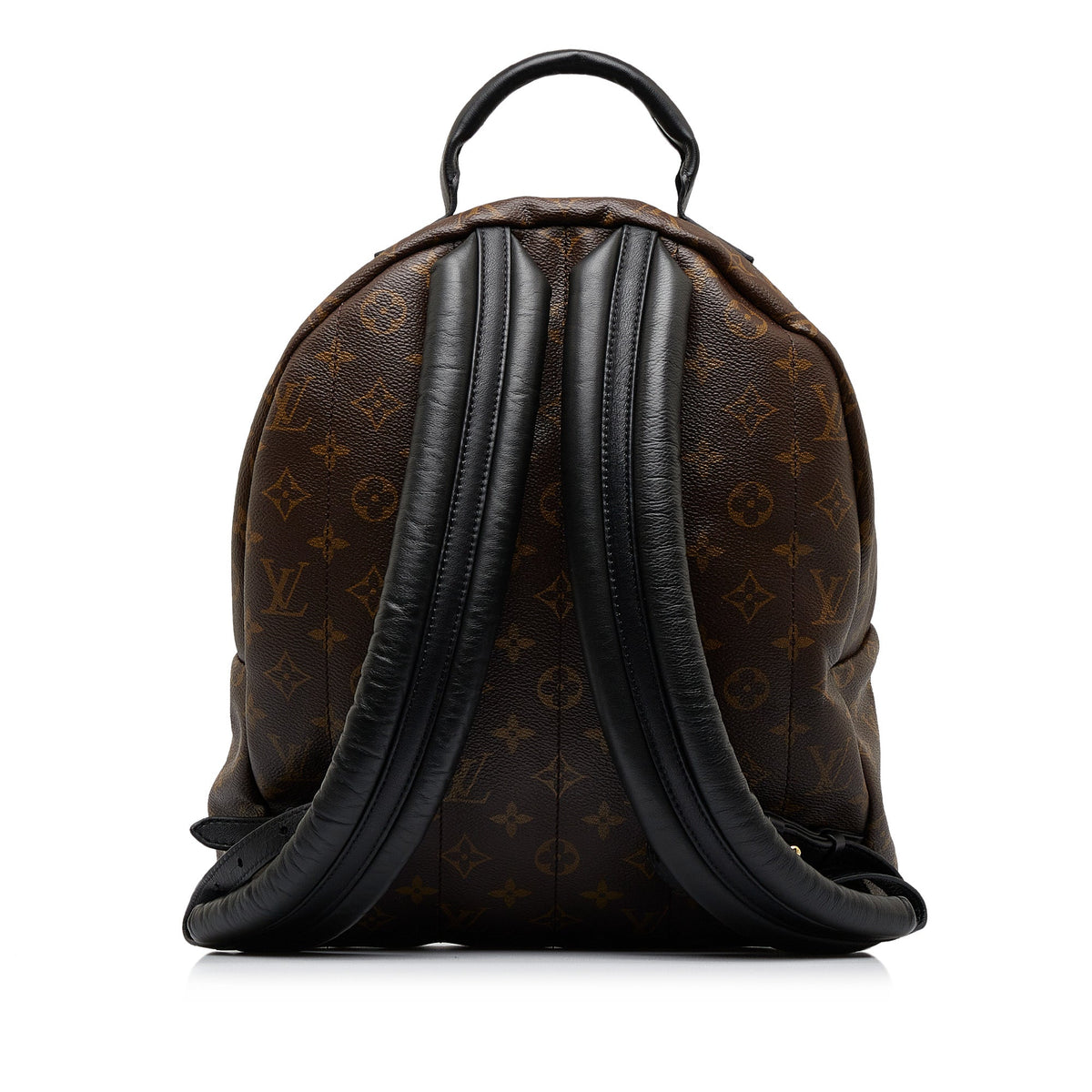 Louis Vuitton Monogram Palm Springs MM