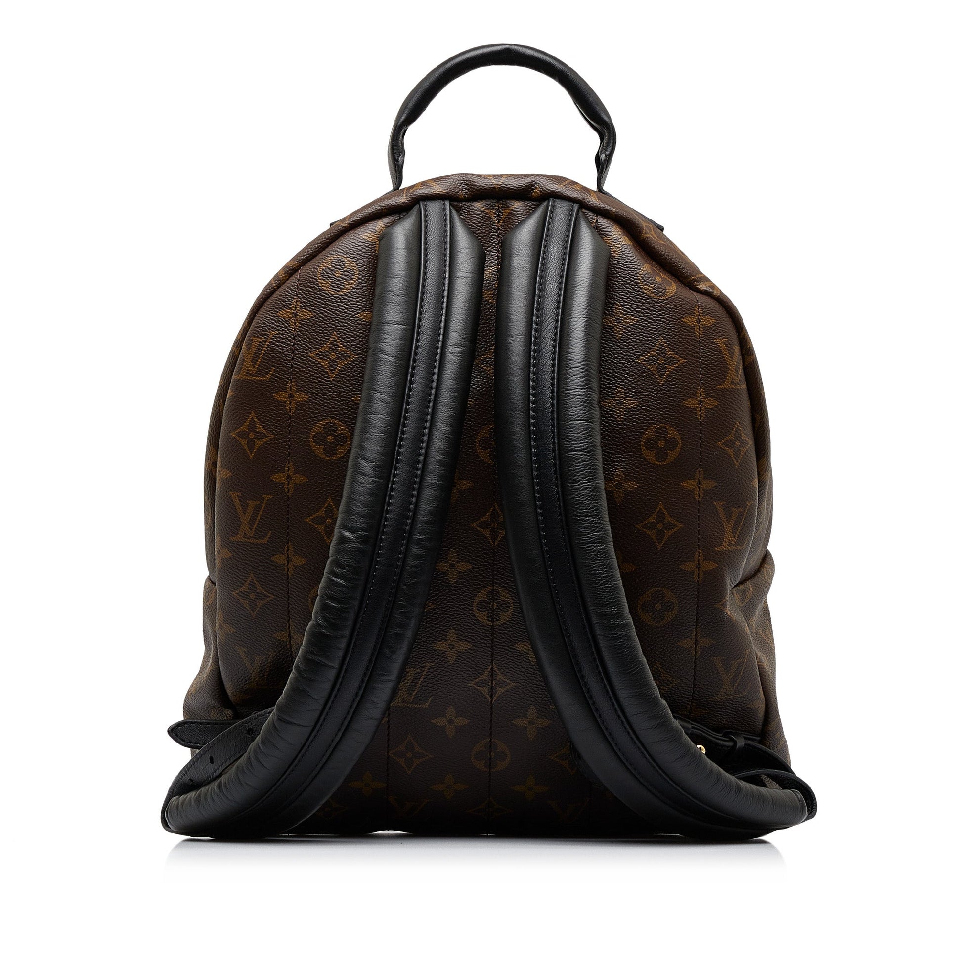 Louis Vuitton Monogram Palm Springs MM