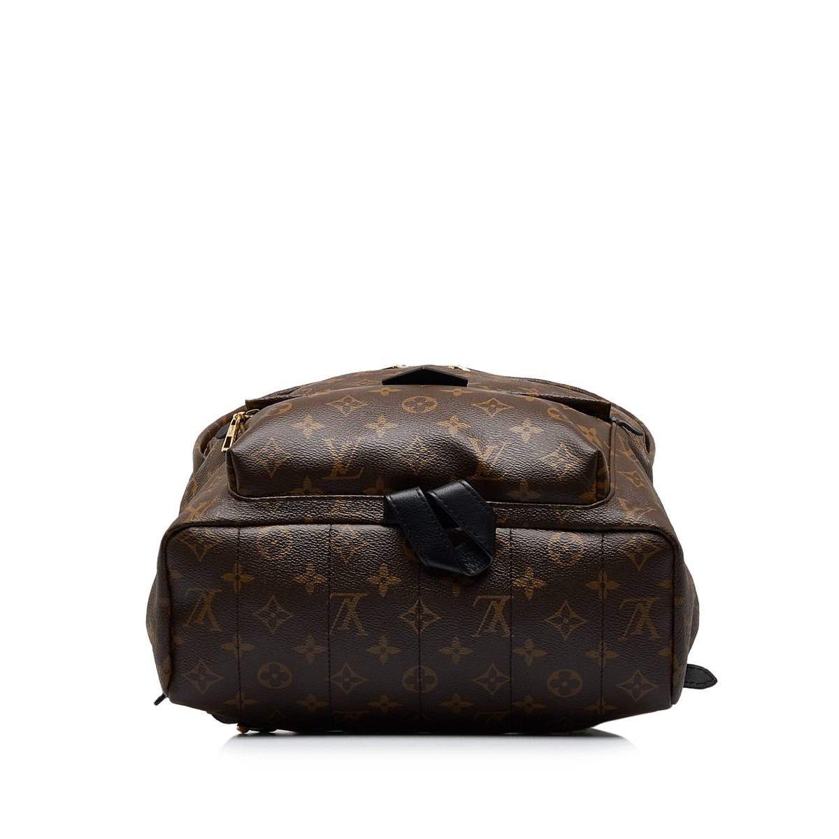 Louis Vuitton Monogram Palm Springs MM