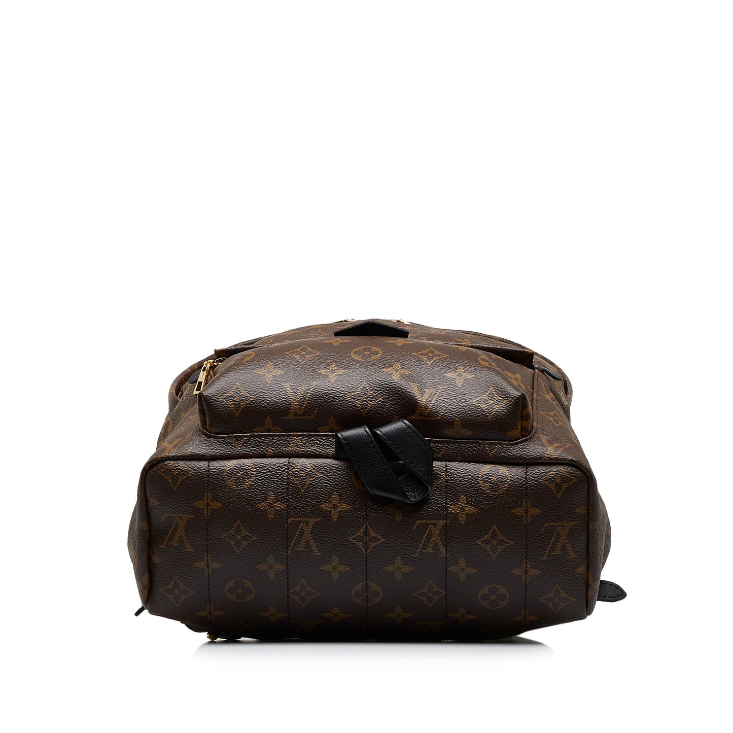 Louis Vuitton Monogram Palm Springs MM