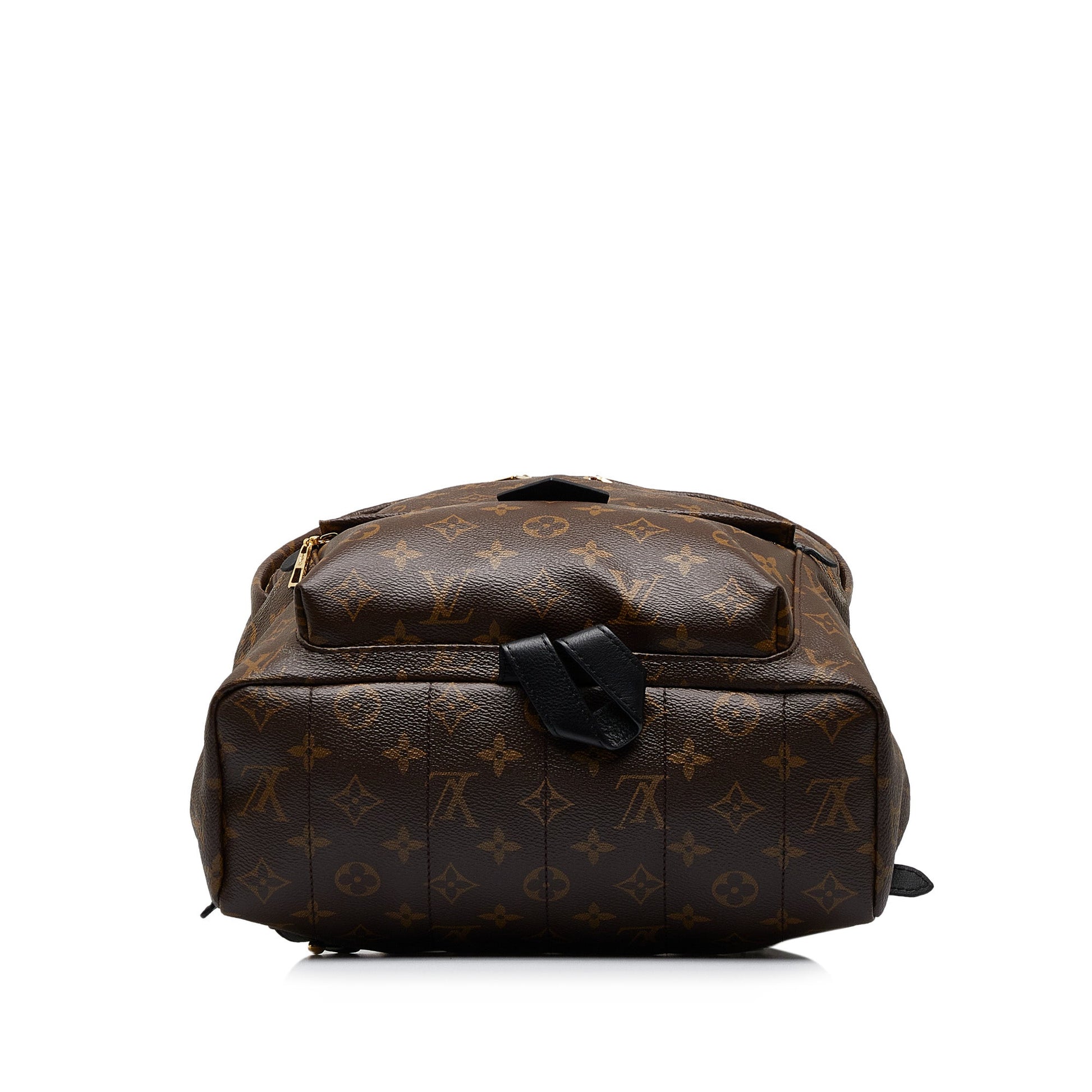 Louis Vuitton Monogram Palm Springs MM