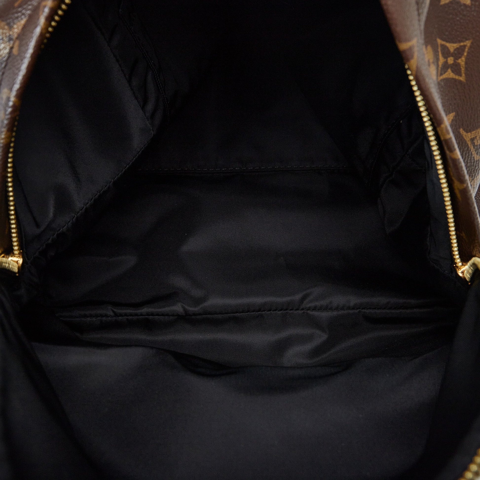 Louis Vuitton Monogram Palm Springs MM