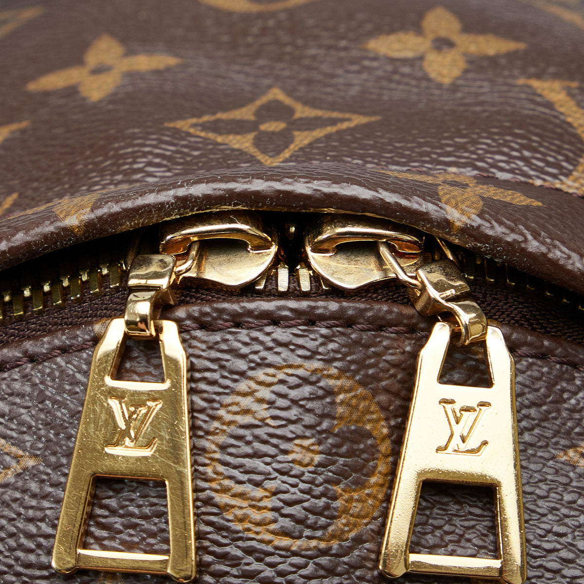 Louis Vuitton Monogram Palm Springs MM