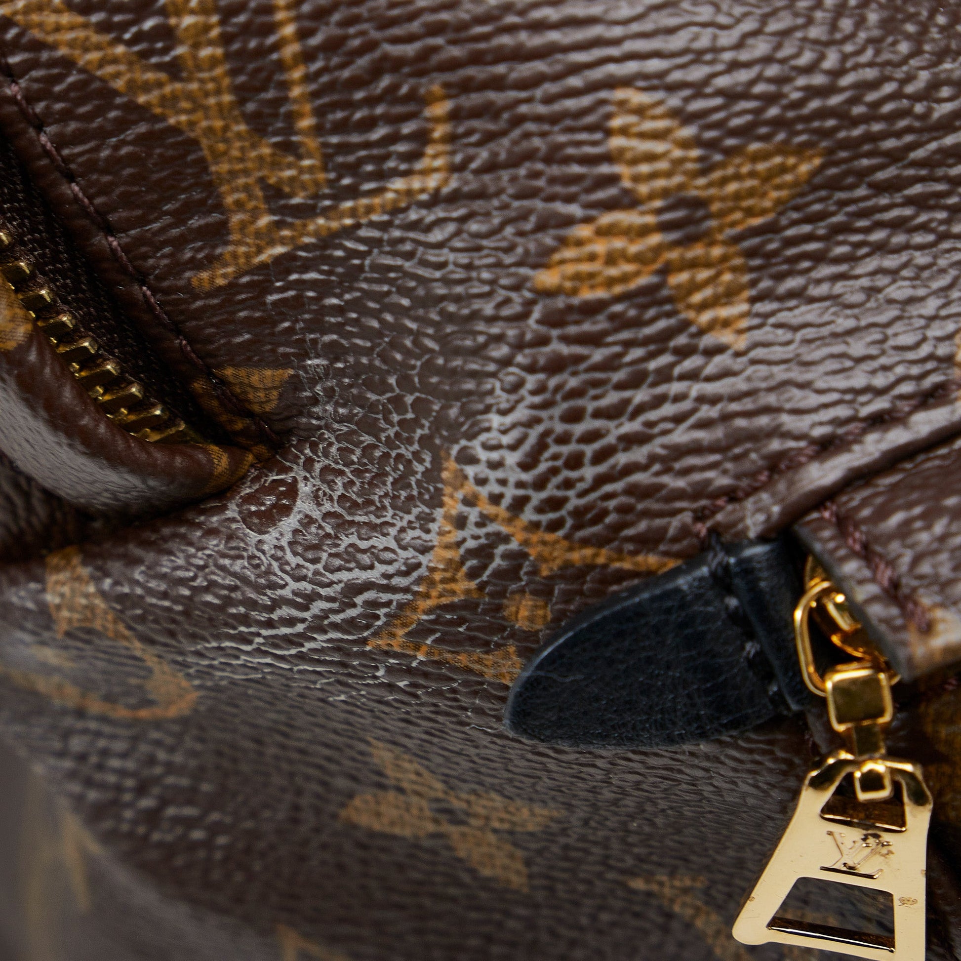 Louis Vuitton Monogram Palm Springs MM