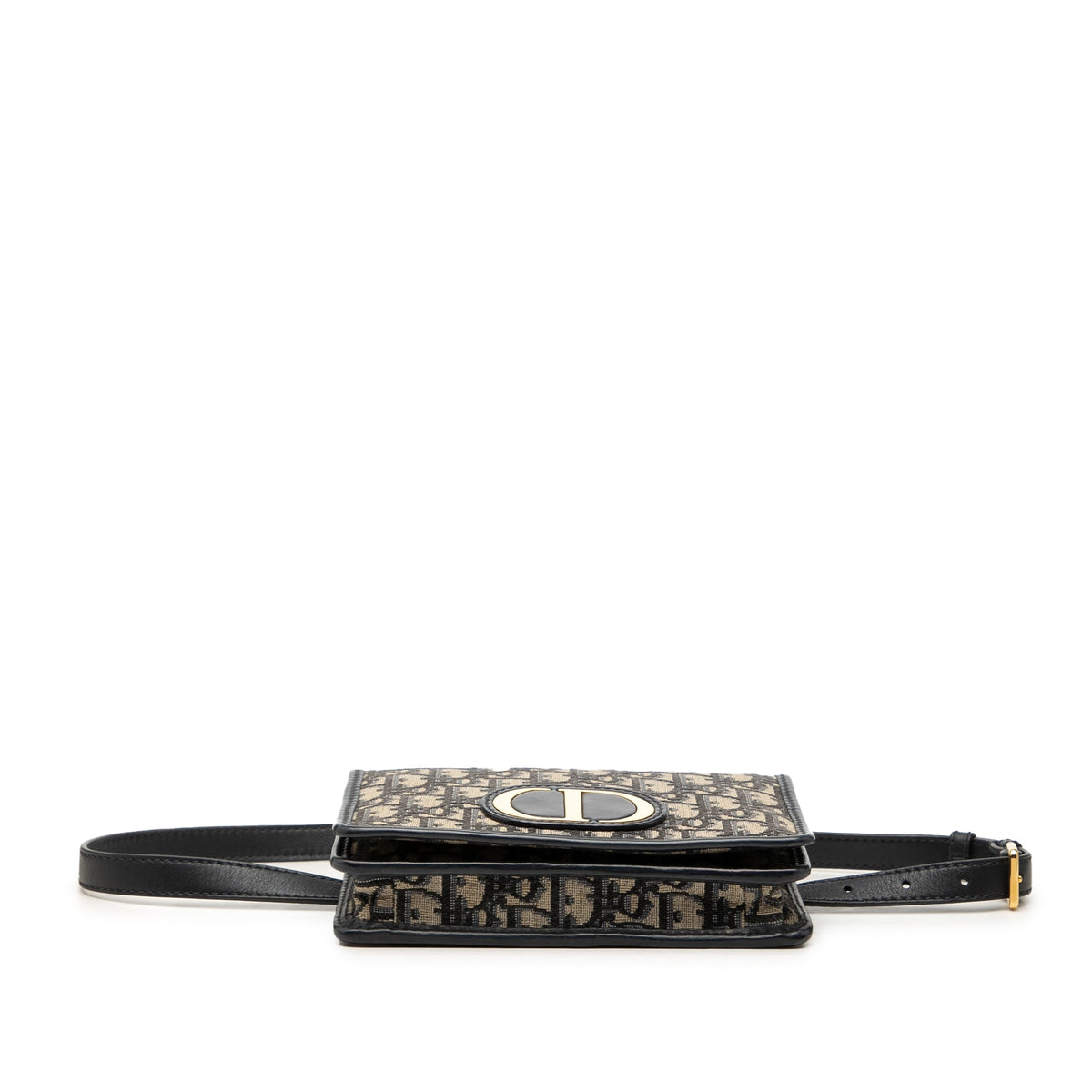 Dior Oblique Canvas 30 Montaigne 2 in 1 Pouch