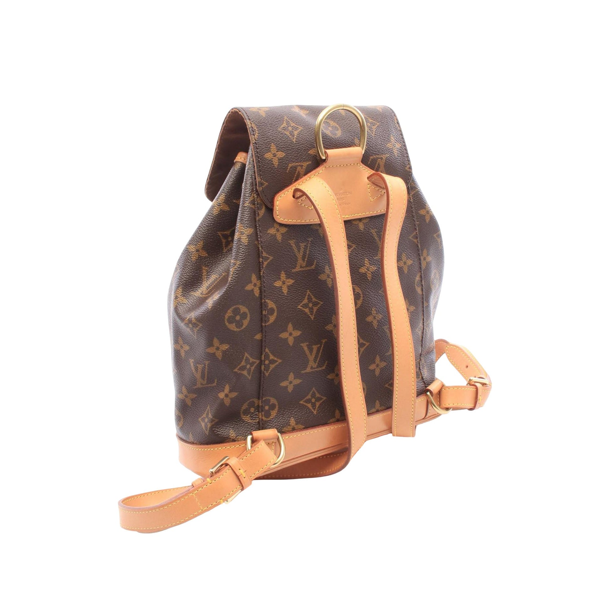 Louis Vuitton Monogram Montsouris MM