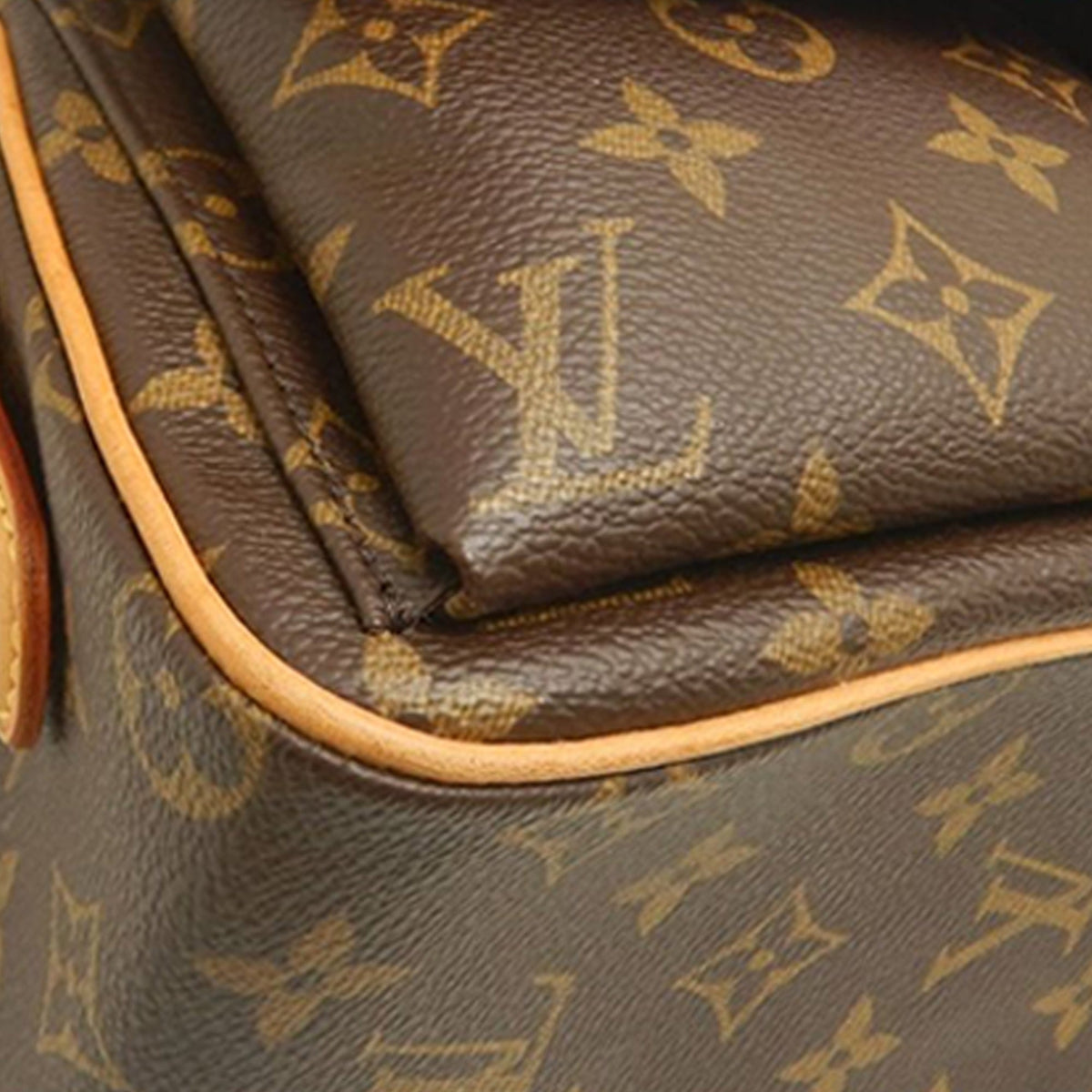 Louis Vuitton Monogram Viva Cite MM