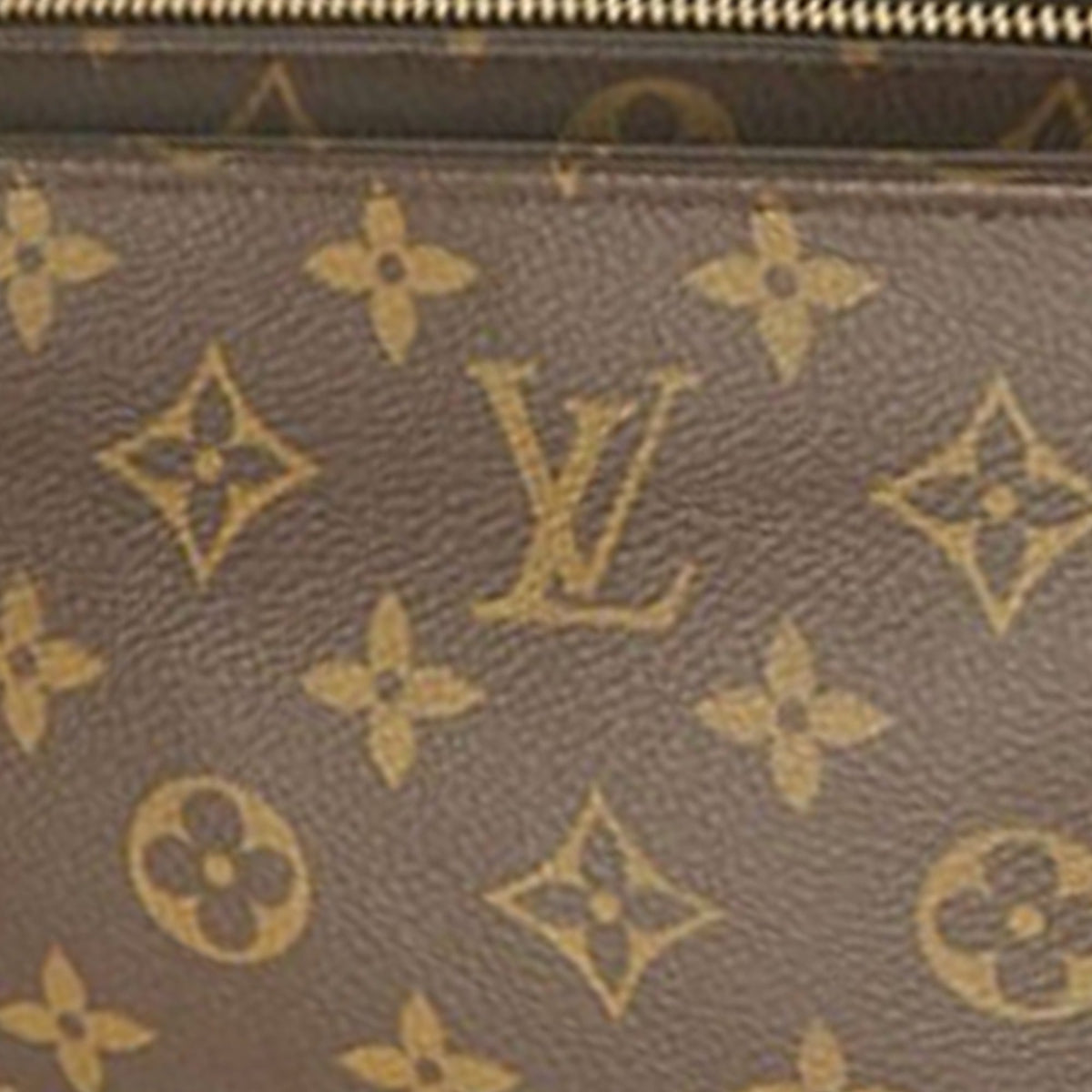 Louis Vuitton Monogram Viva Cite MM