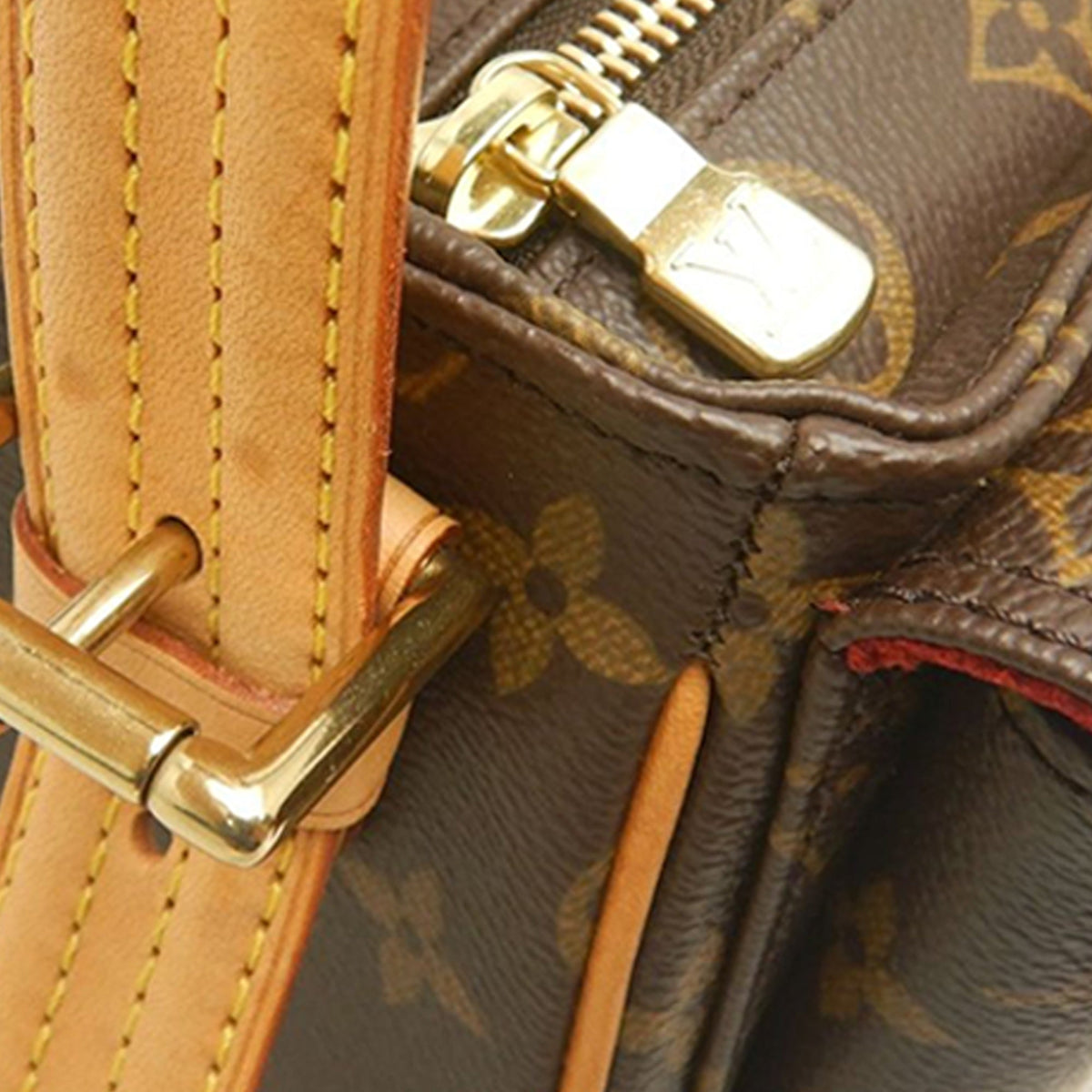 Louis Vuitton Monogram Viva Cite MM