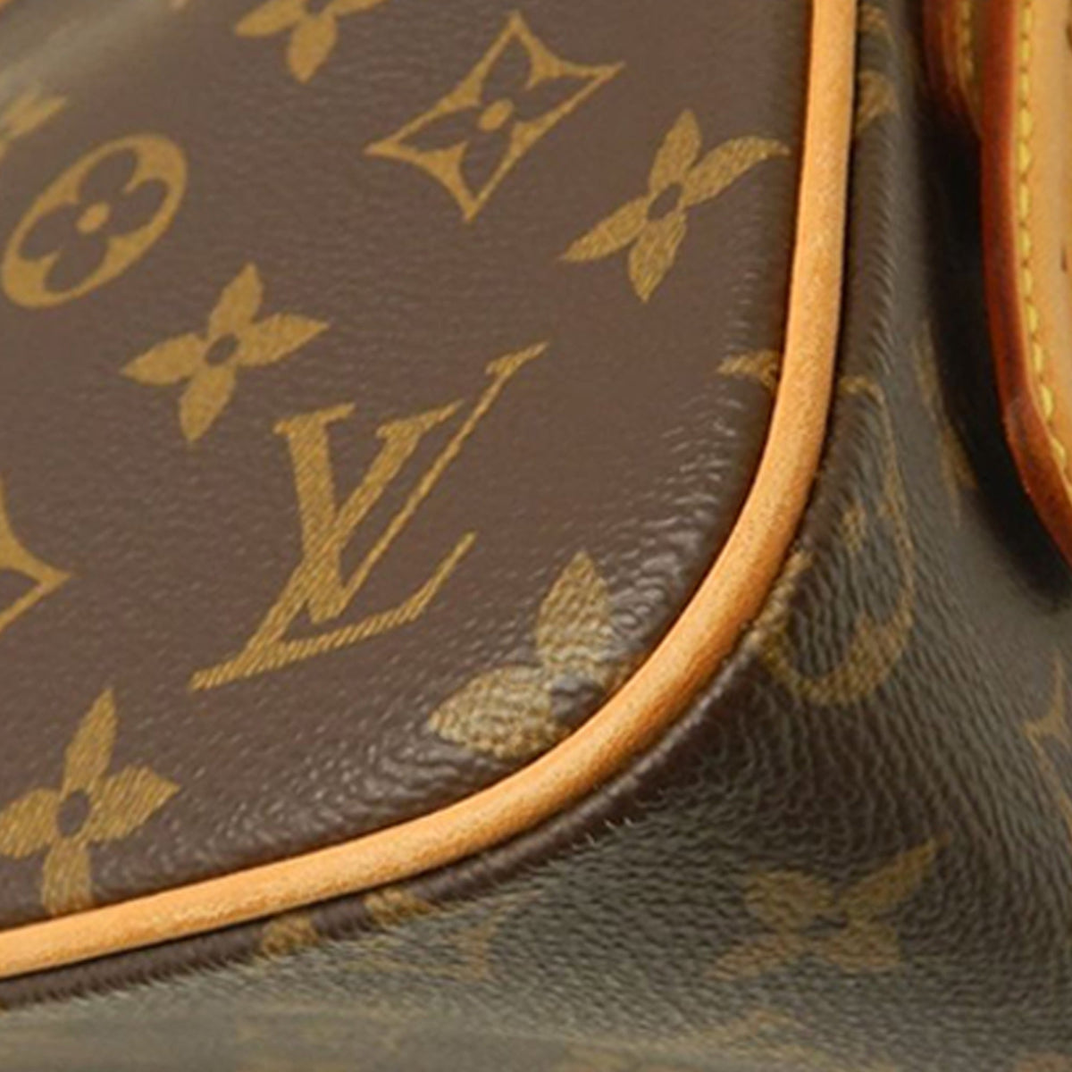Louis Vuitton Monogram Viva Cite MM