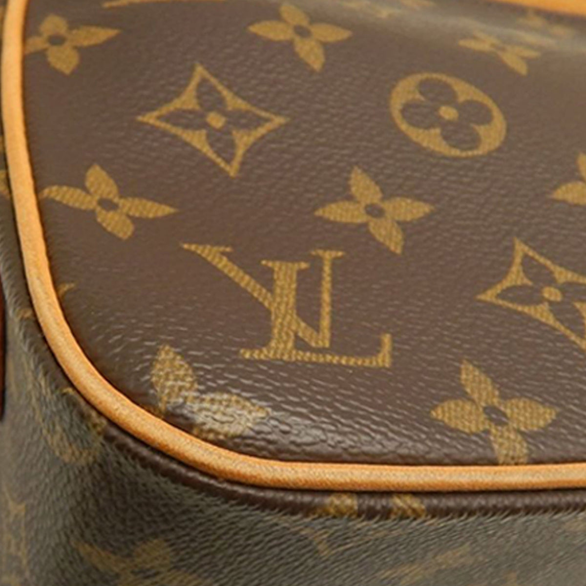 Louis Vuitton Monogram Viva Cite MM