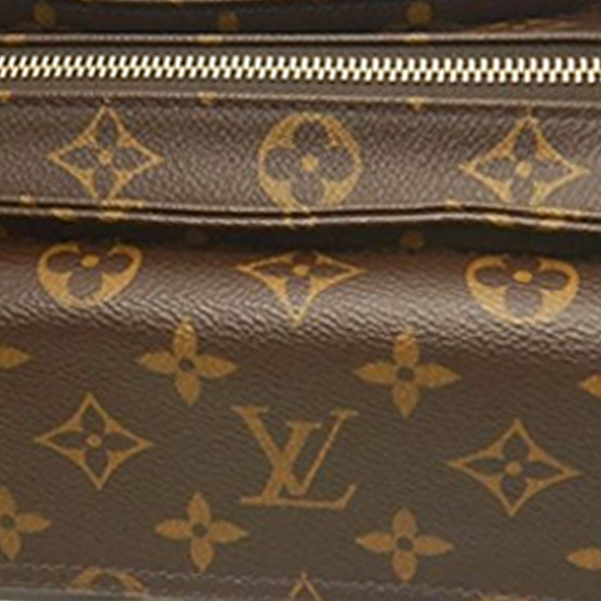 Louis Vuitton Monogram Viva Cite MM