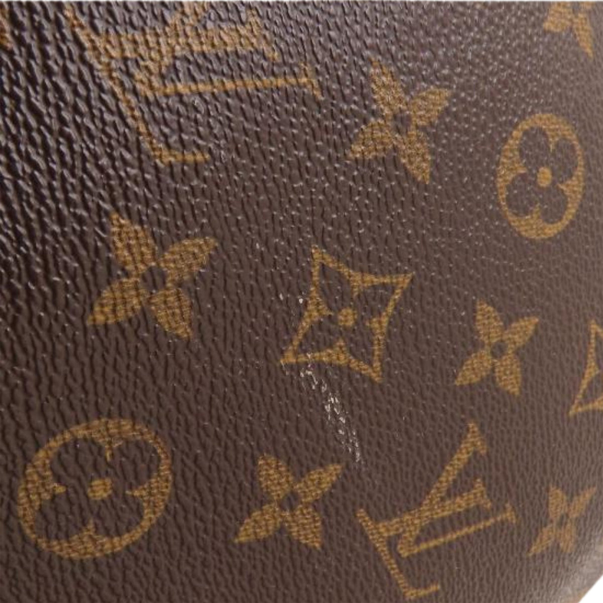 Louis Vuitton Monogram Musette Salsa PM Long Strap