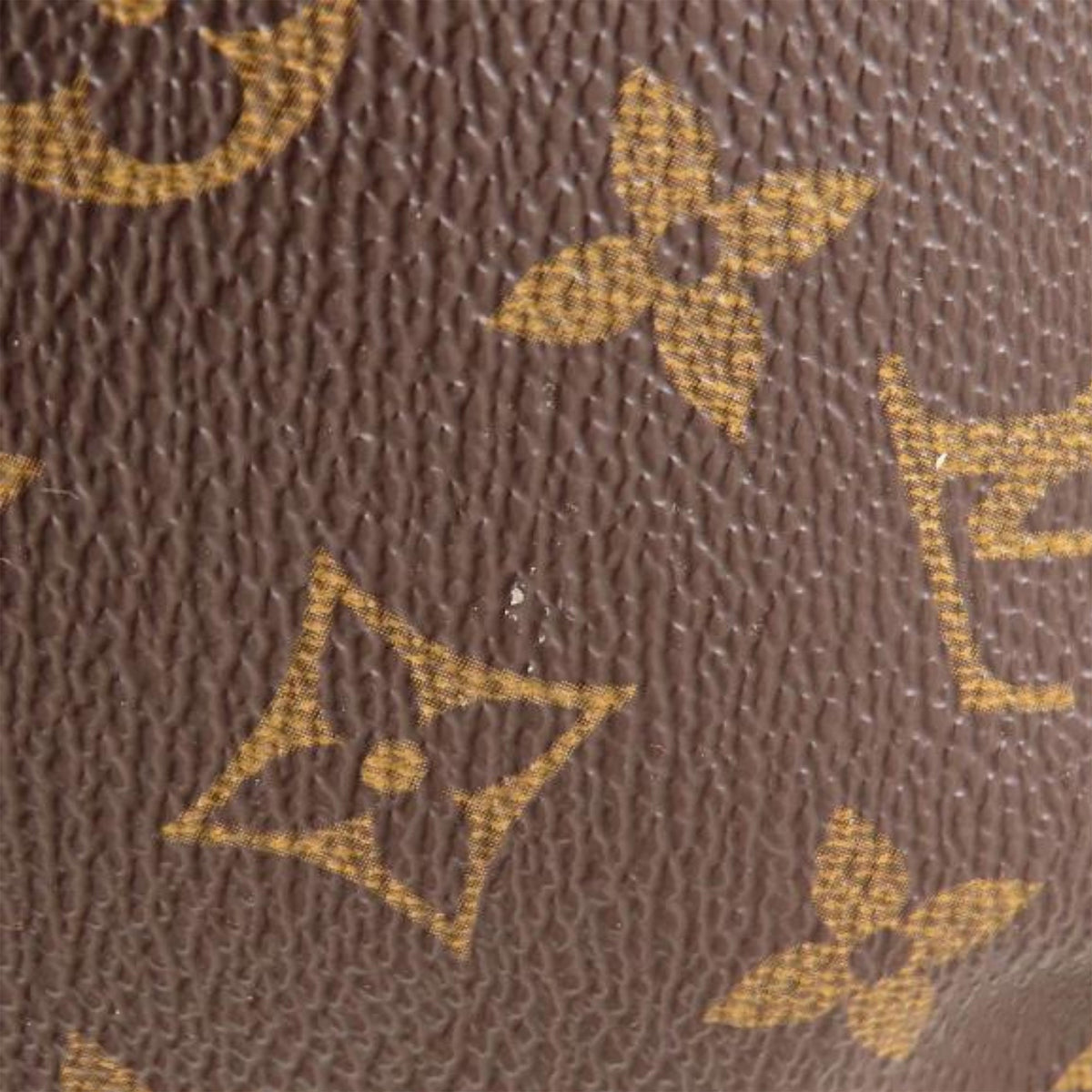 Louis Vuitton Monogram Musette Salsa PM Long Strap