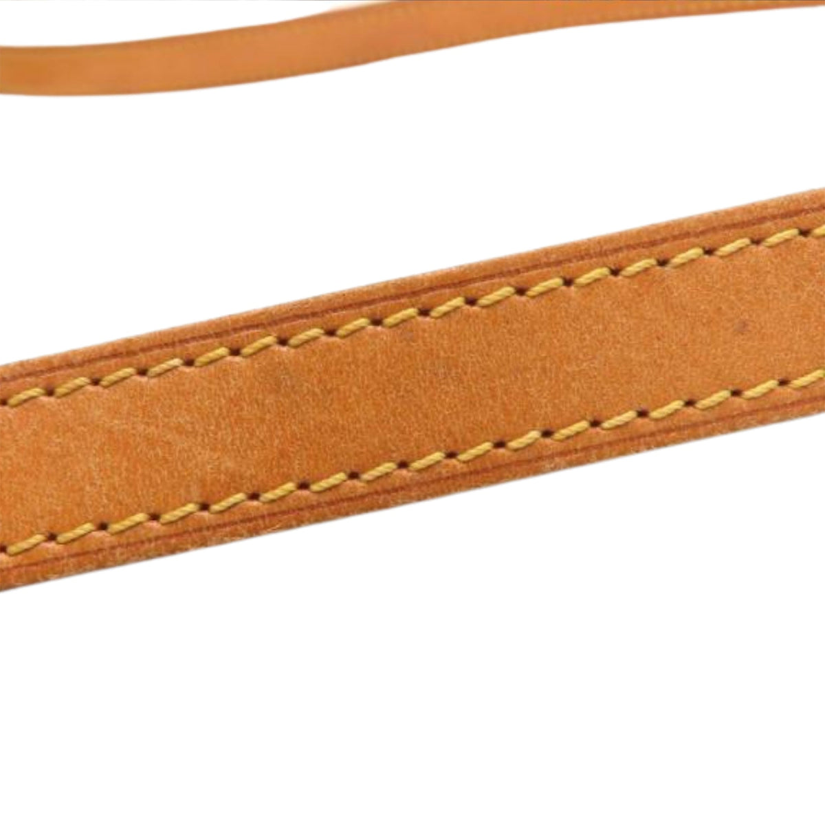Louis Vuitton Monogram Musette Salsa PM Long Strap