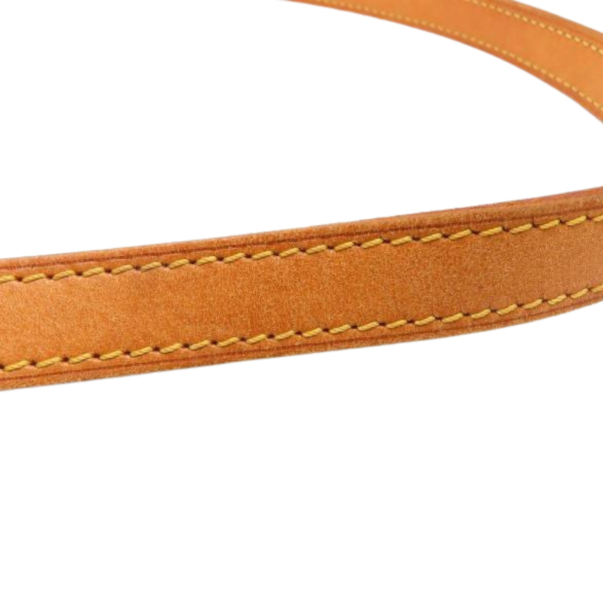 Louis Vuitton Monogram Musette Salsa PM Long Strap