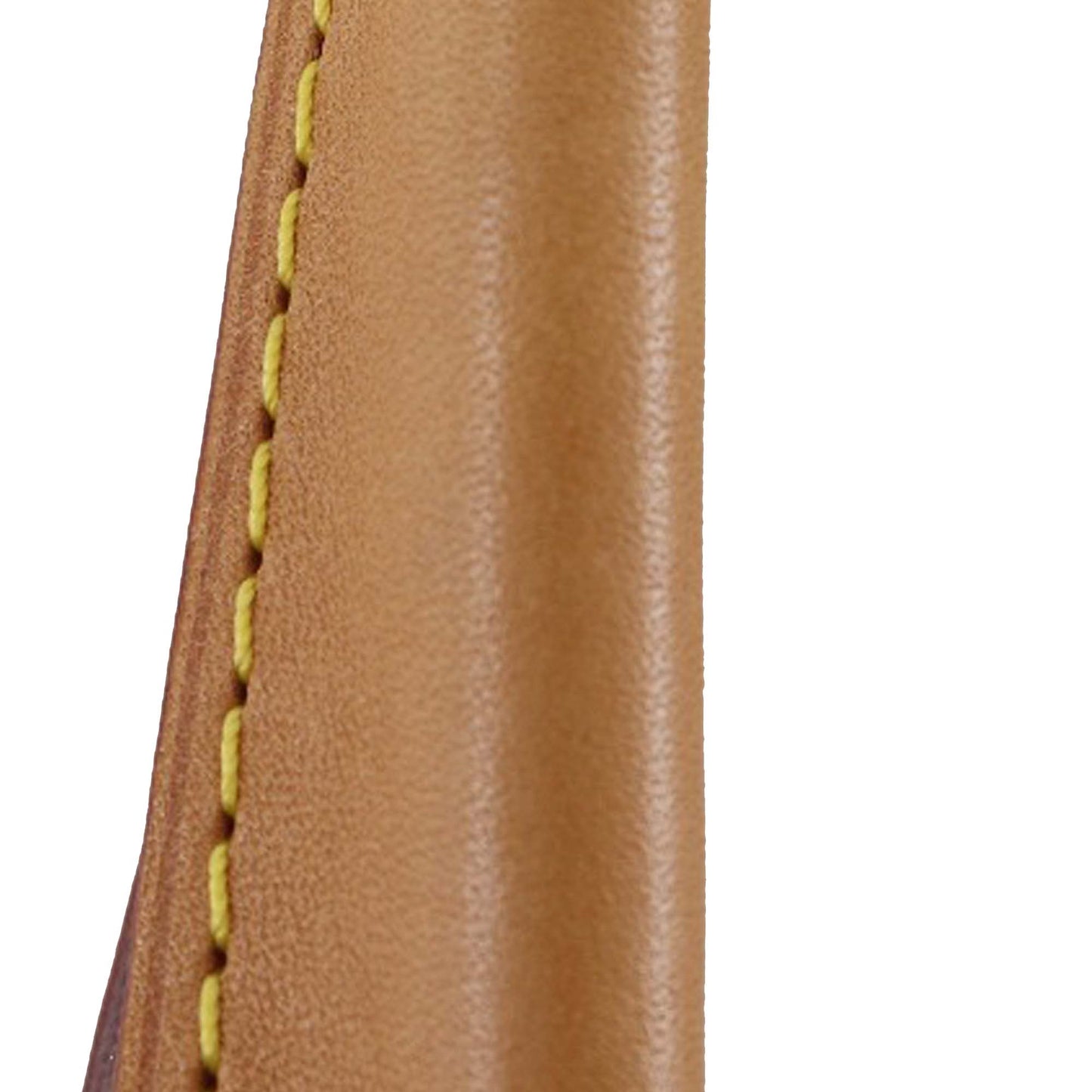 Louis Vuitton Monogram Rivoli PM