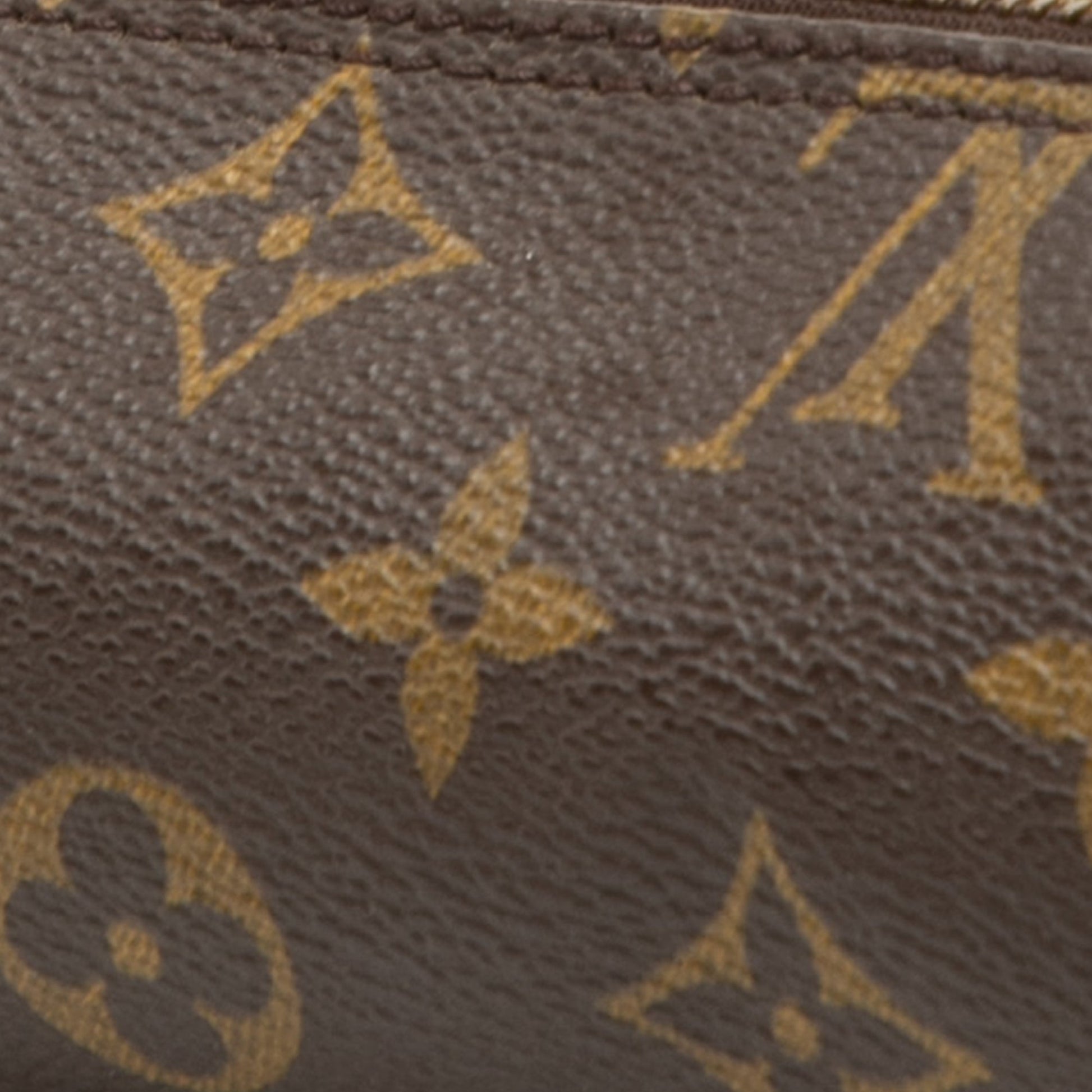Louis Vuitton Monogram Papillon Pochette