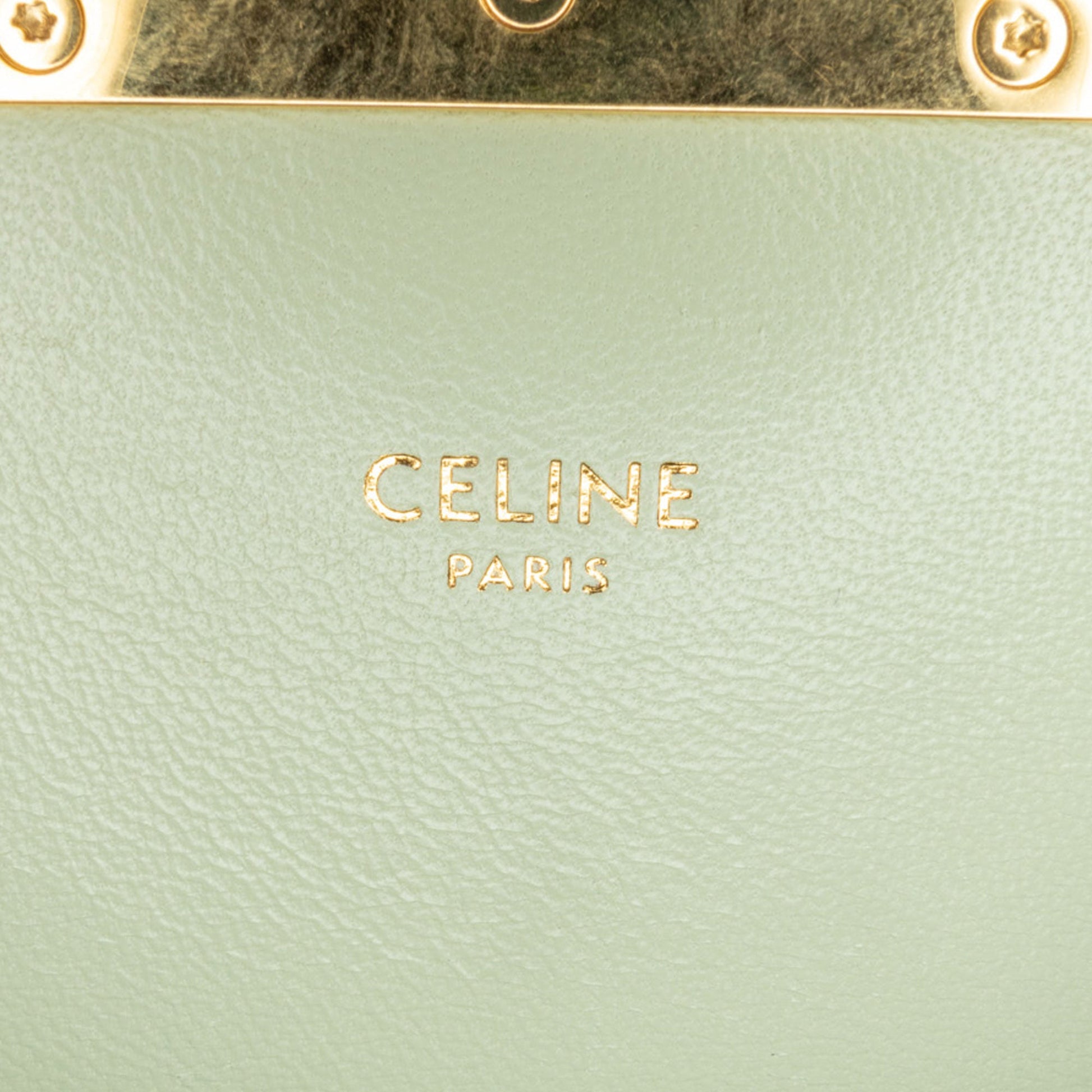 Celine Teen Triomphe Coated Canvas and Calfskin Triomphe Crossbody