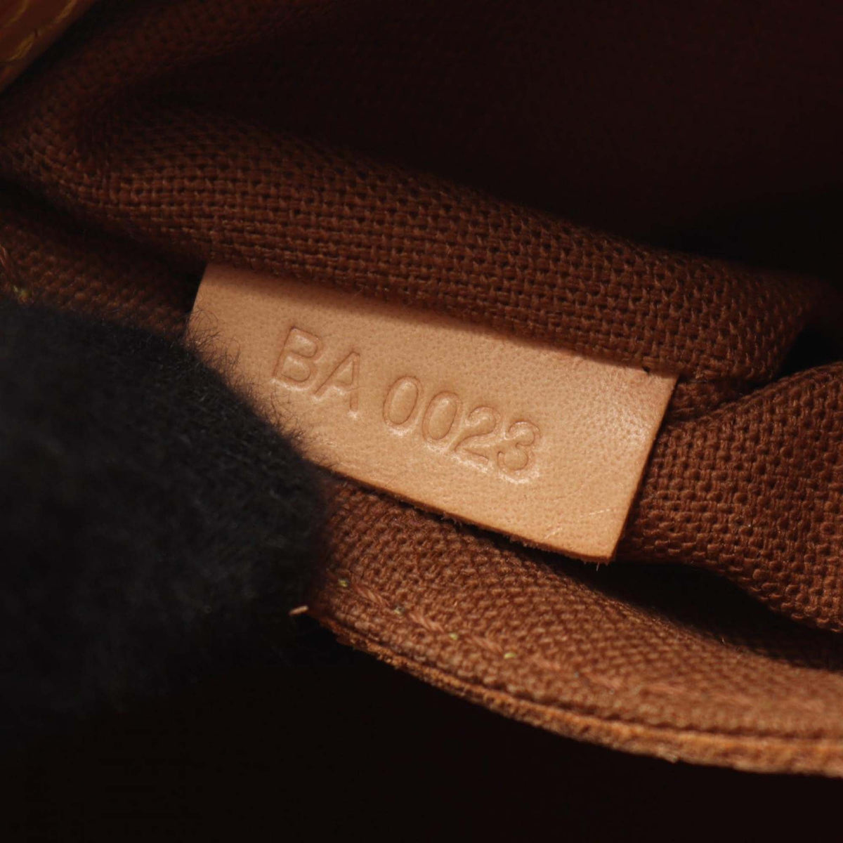 Louis Vuitton Monogram Alma PM