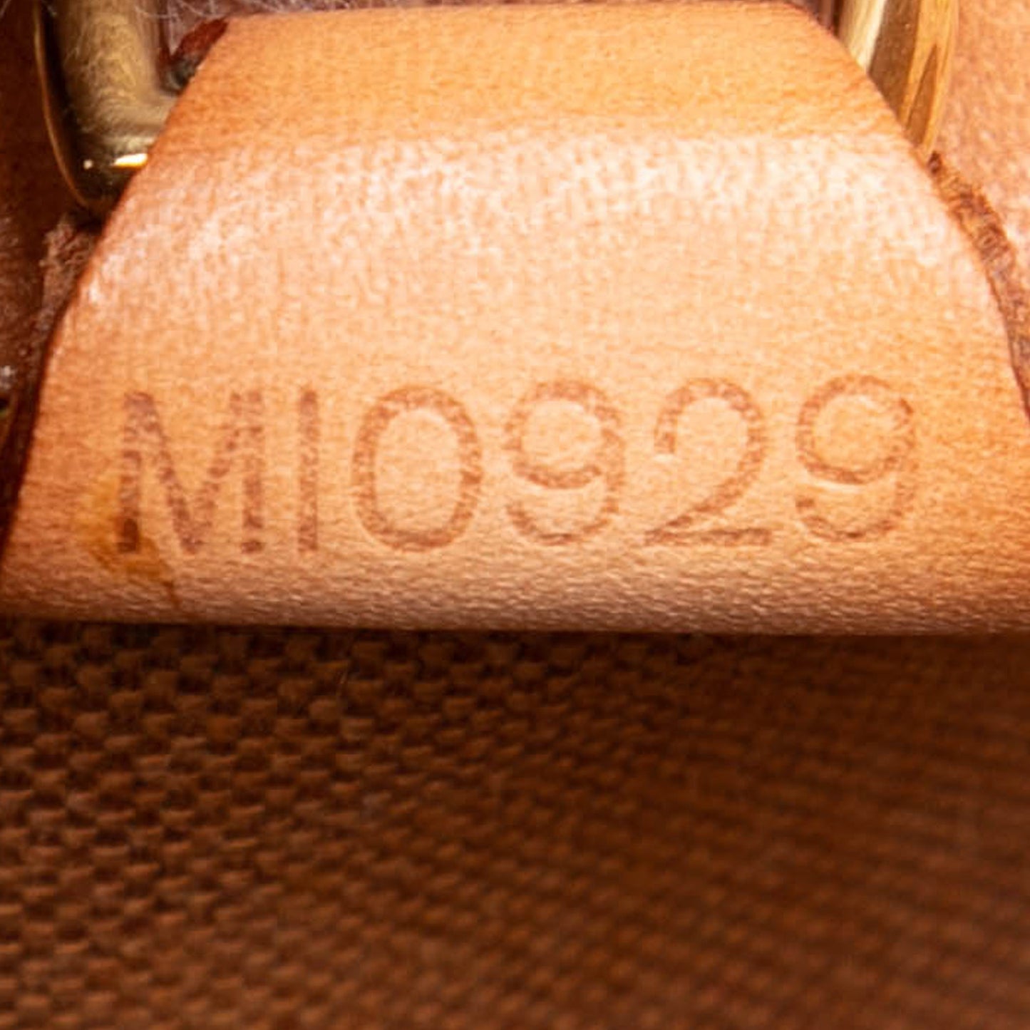 Louis Vuitton Monogram Ellipse MM