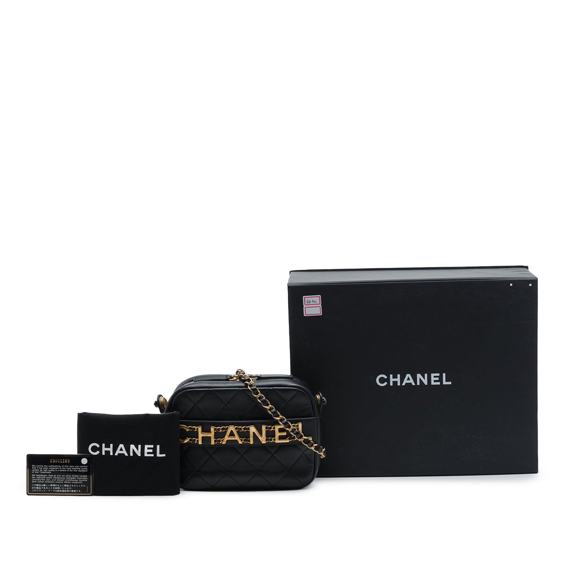 Chanel Quilted Calfskin Logo Enchained Camera Bag