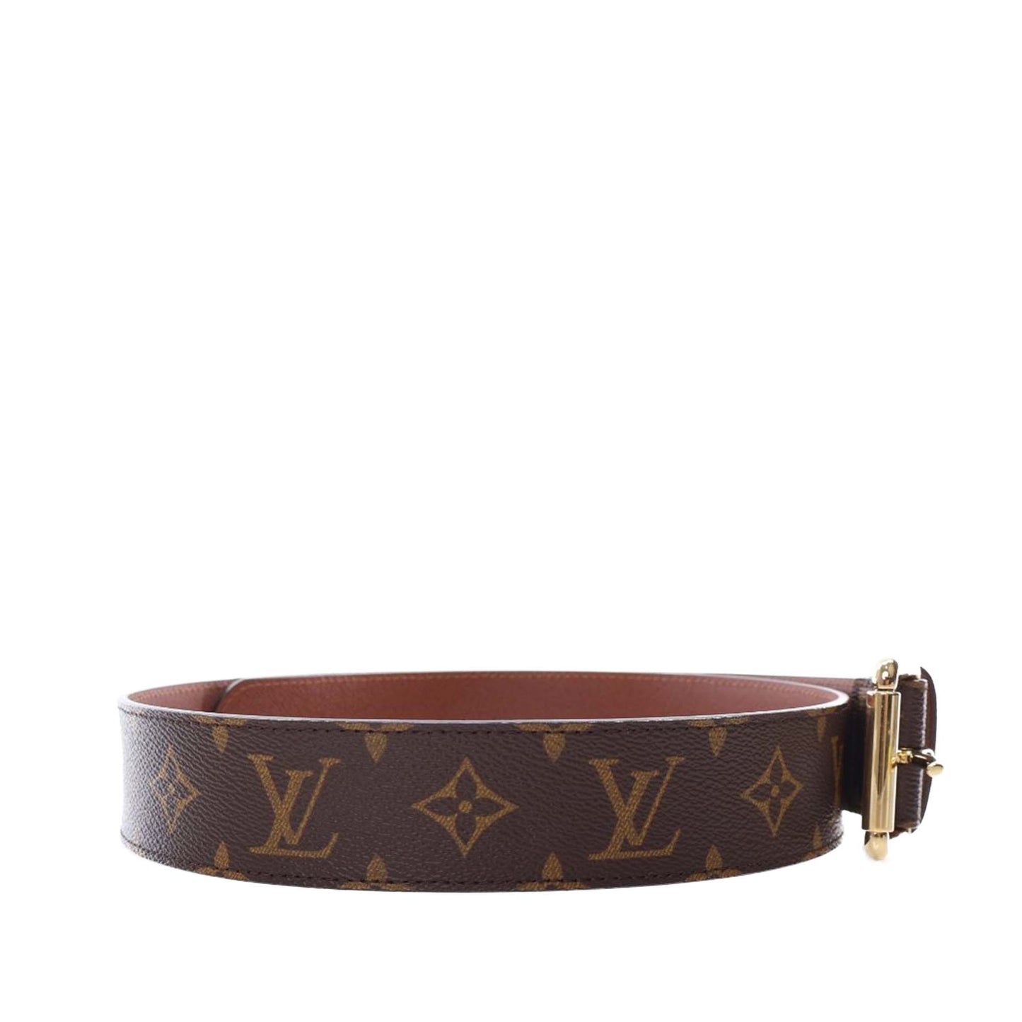 Louis Vuitton Monogram Pochette Duo Belt Bag
