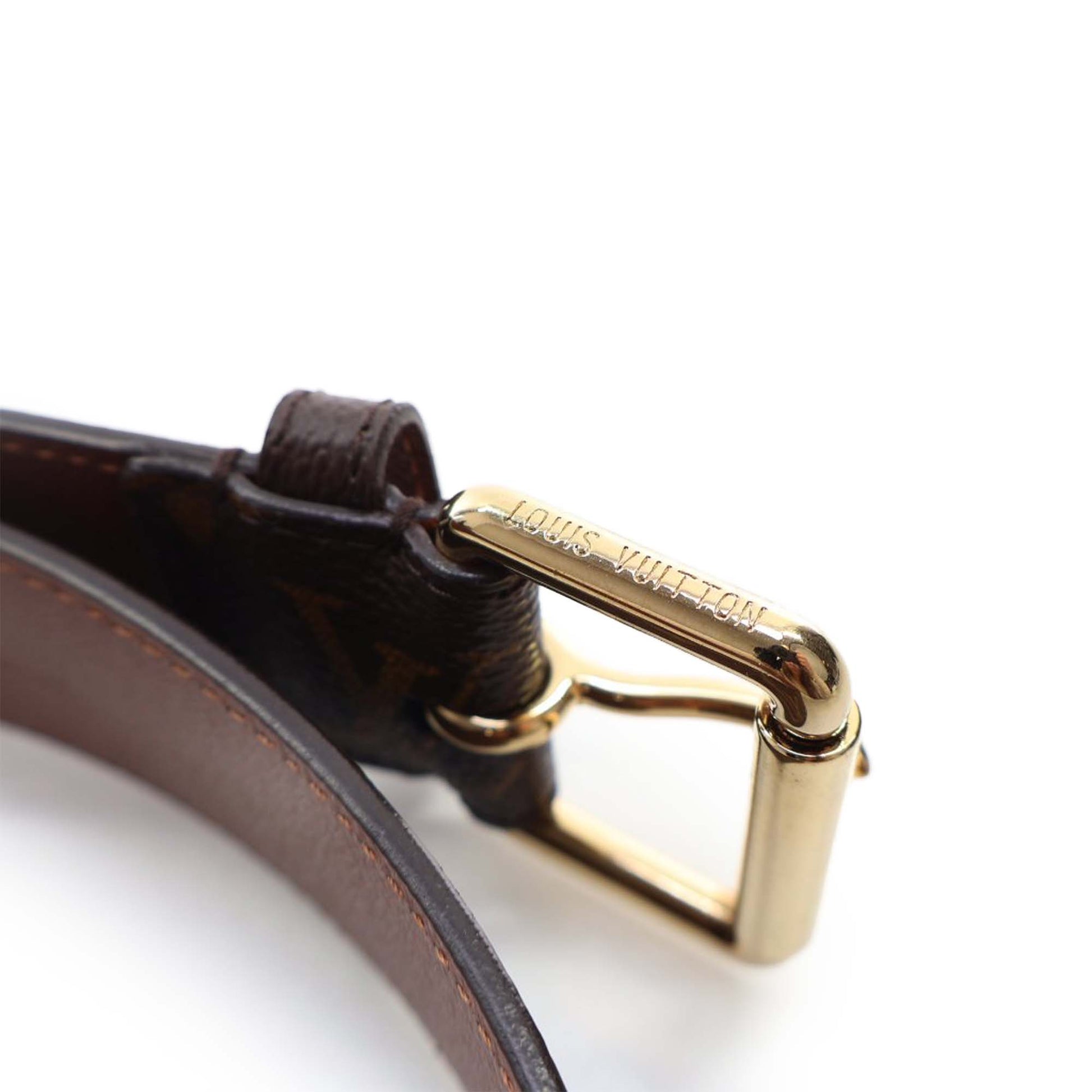 Louis Vuitton Monogram Pochette Duo Belt Bag