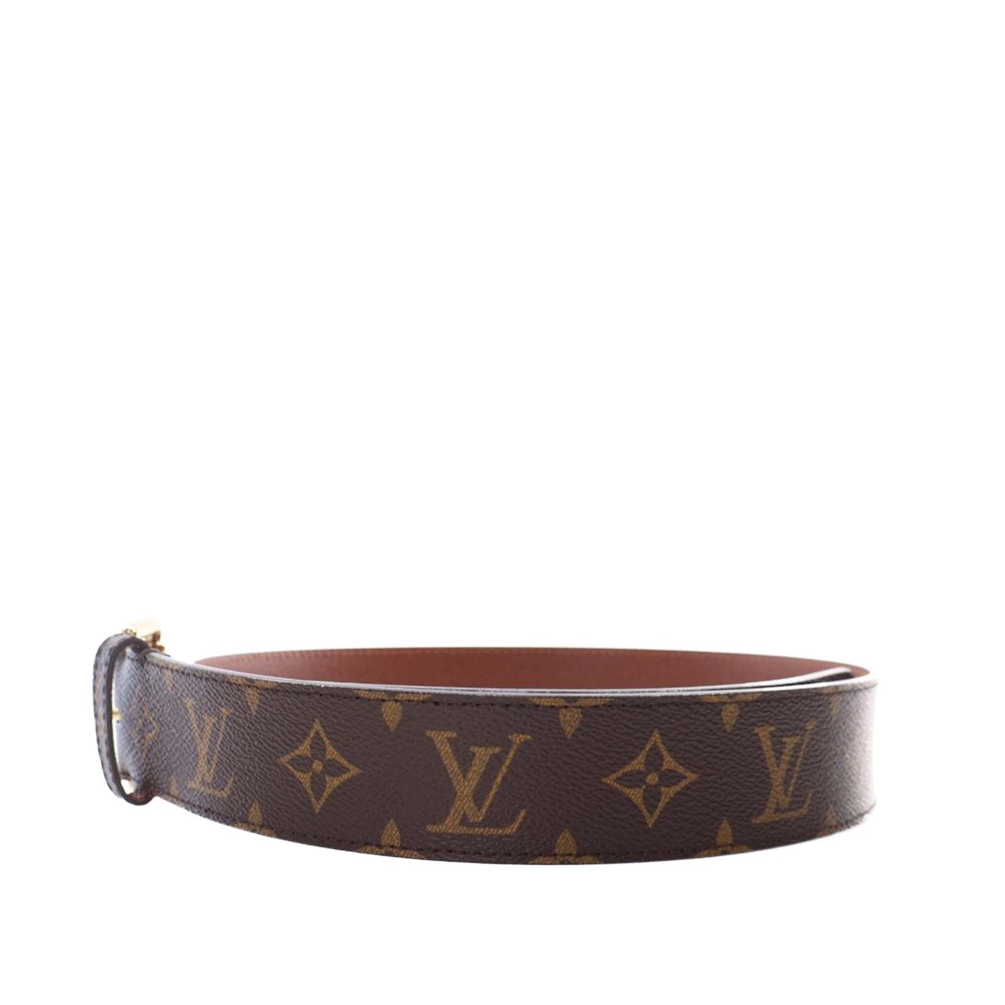 Louis Vuitton Monogram Pochette Duo Belt Bag