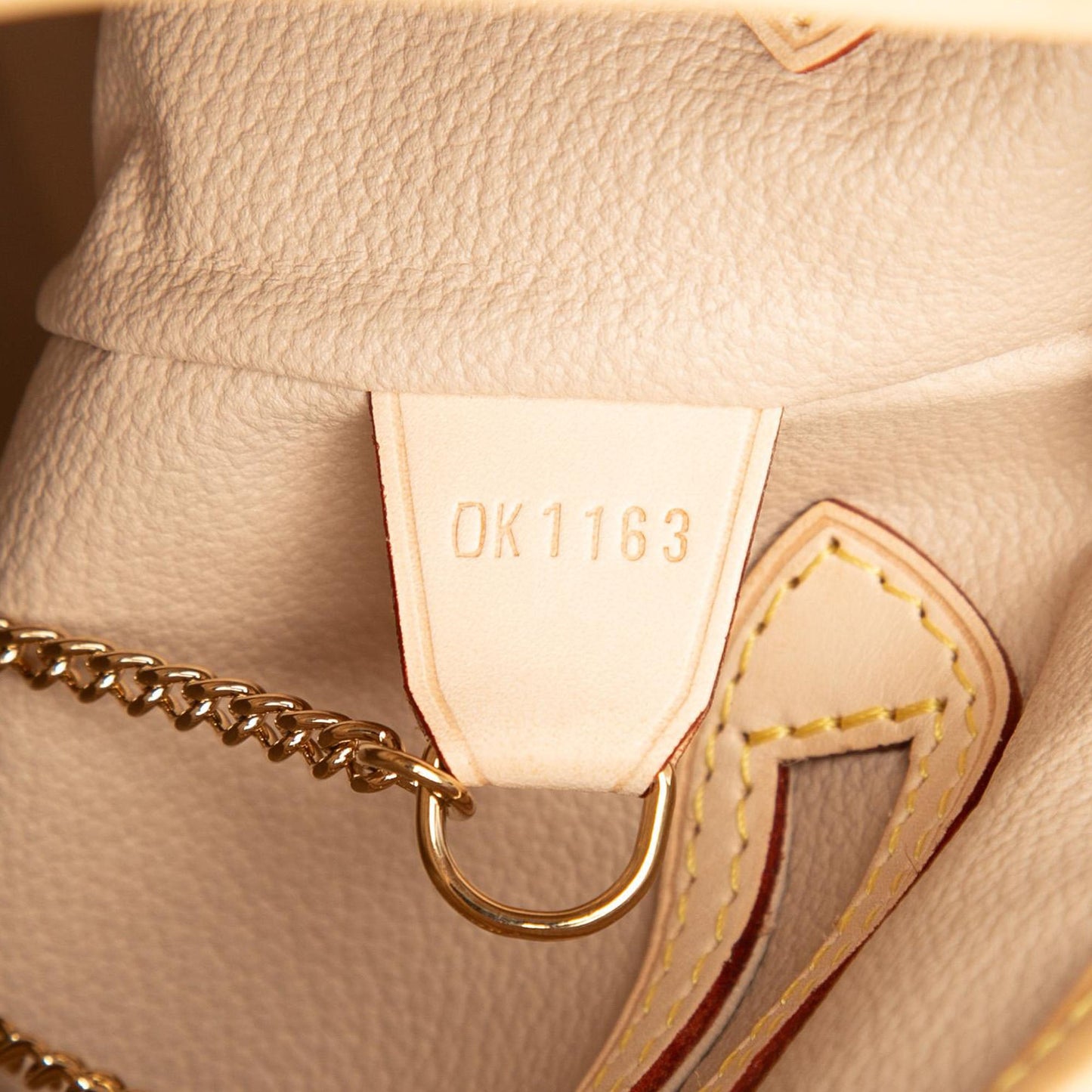 Louis Vuitton Monogram Petit Bucket