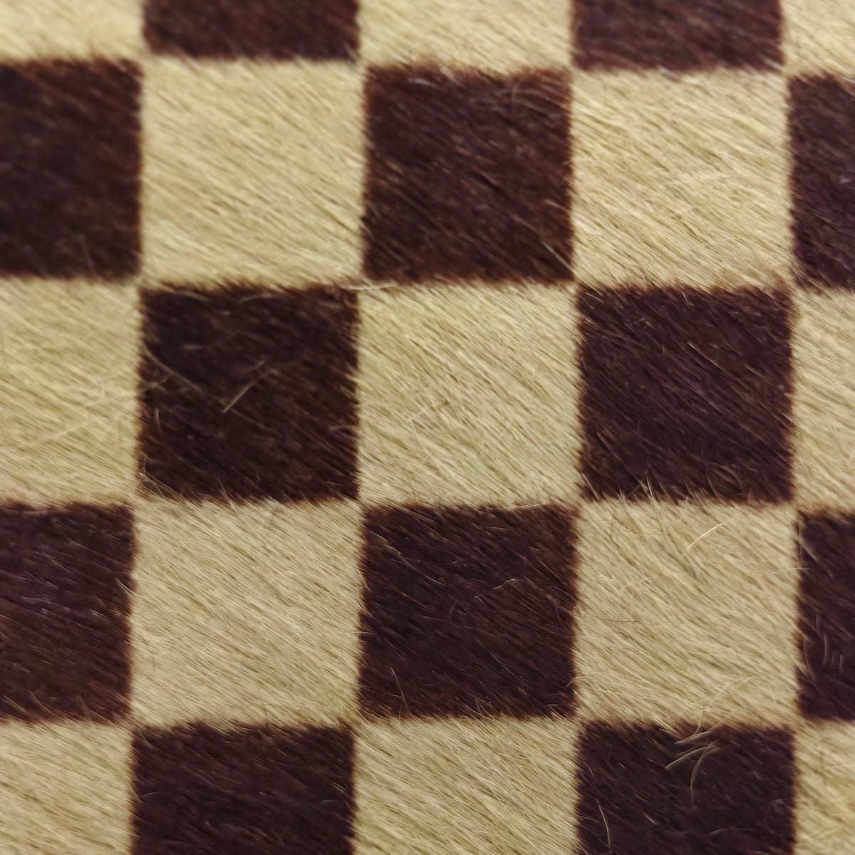 Louis Vuitton Damier Sauvage Tigre
