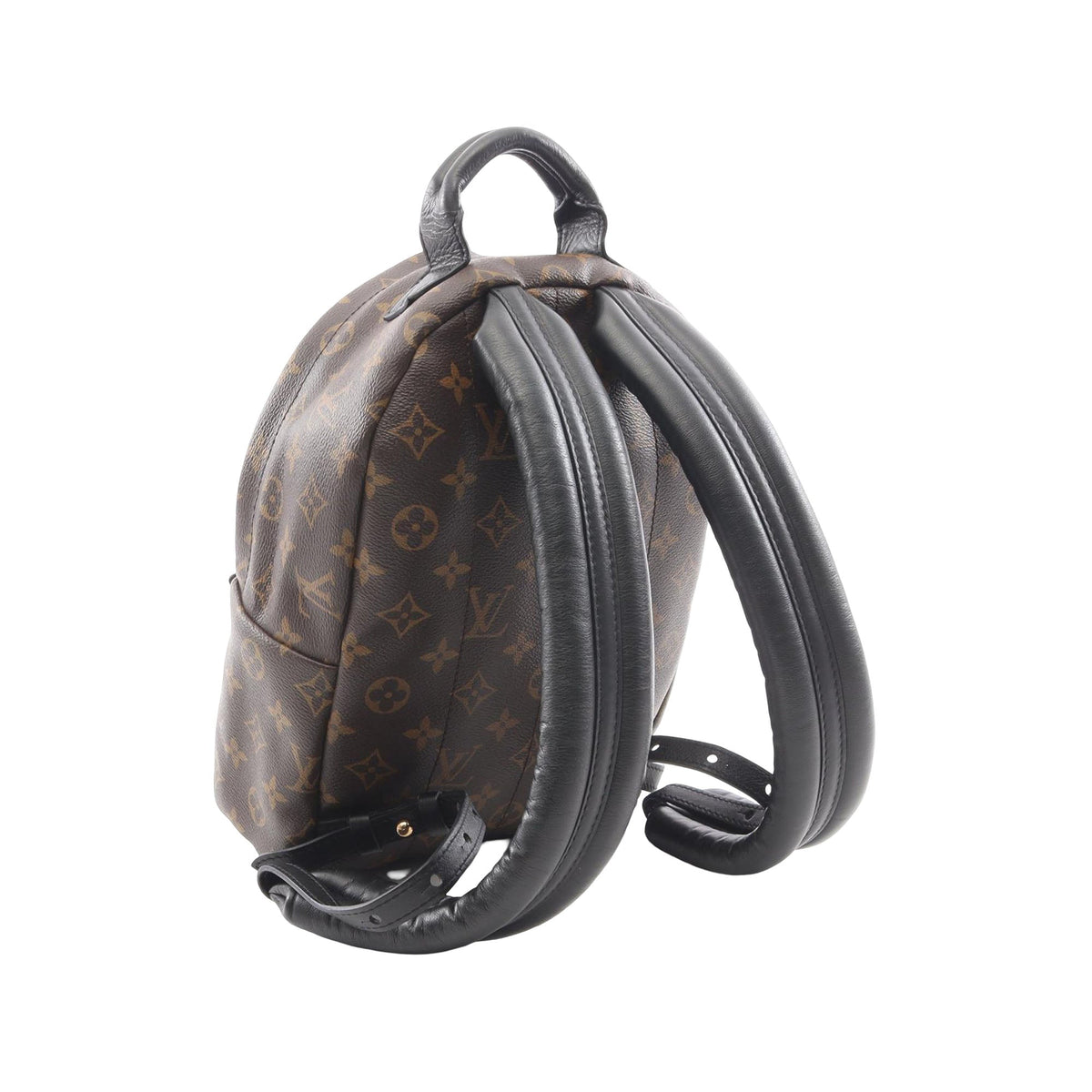 Louis Vuitton Monogram Palm Springs PM