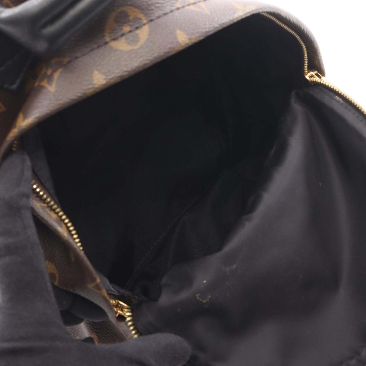 Louis Vuitton Monogram Palm Springs PM