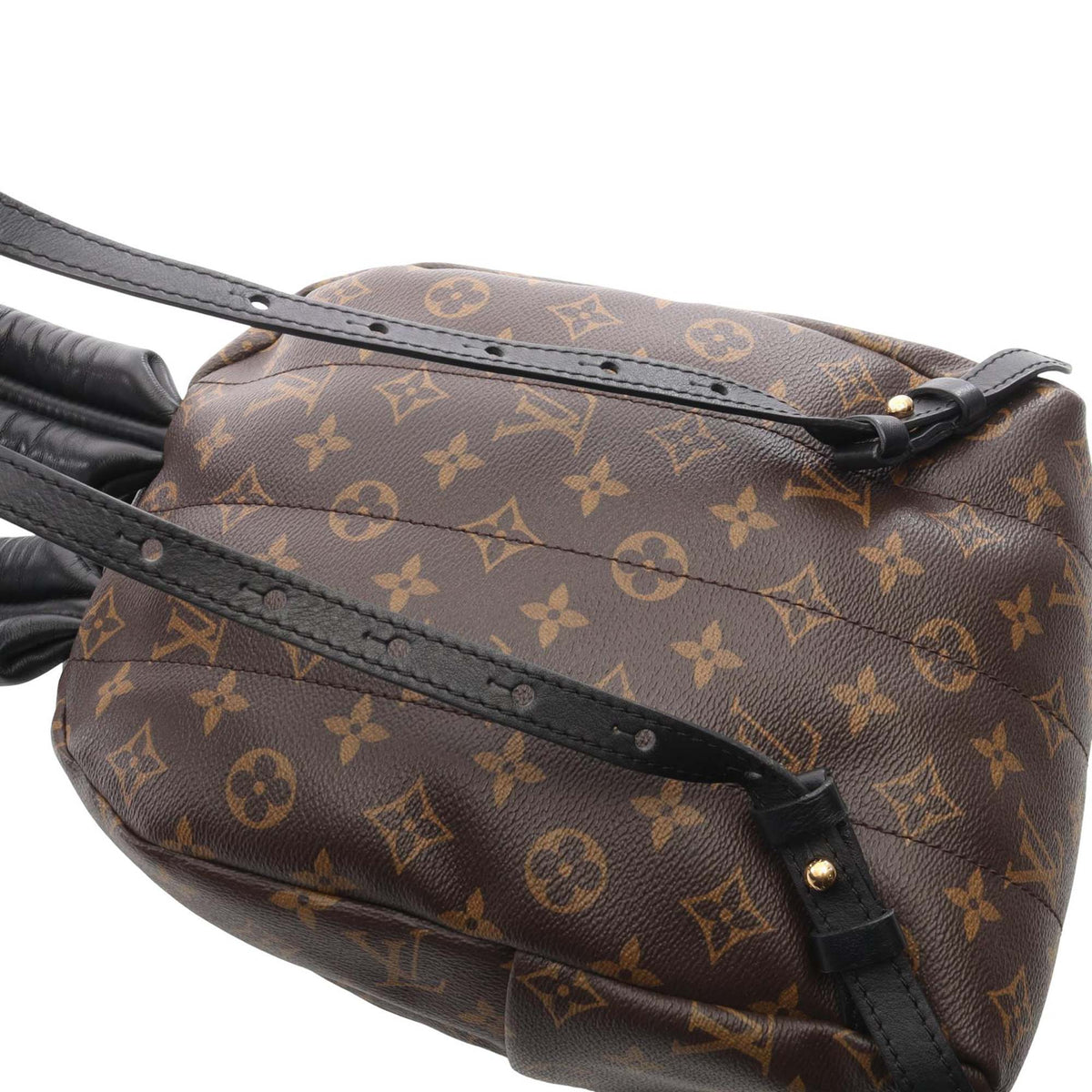 Louis Vuitton Monogram Palm Springs PM