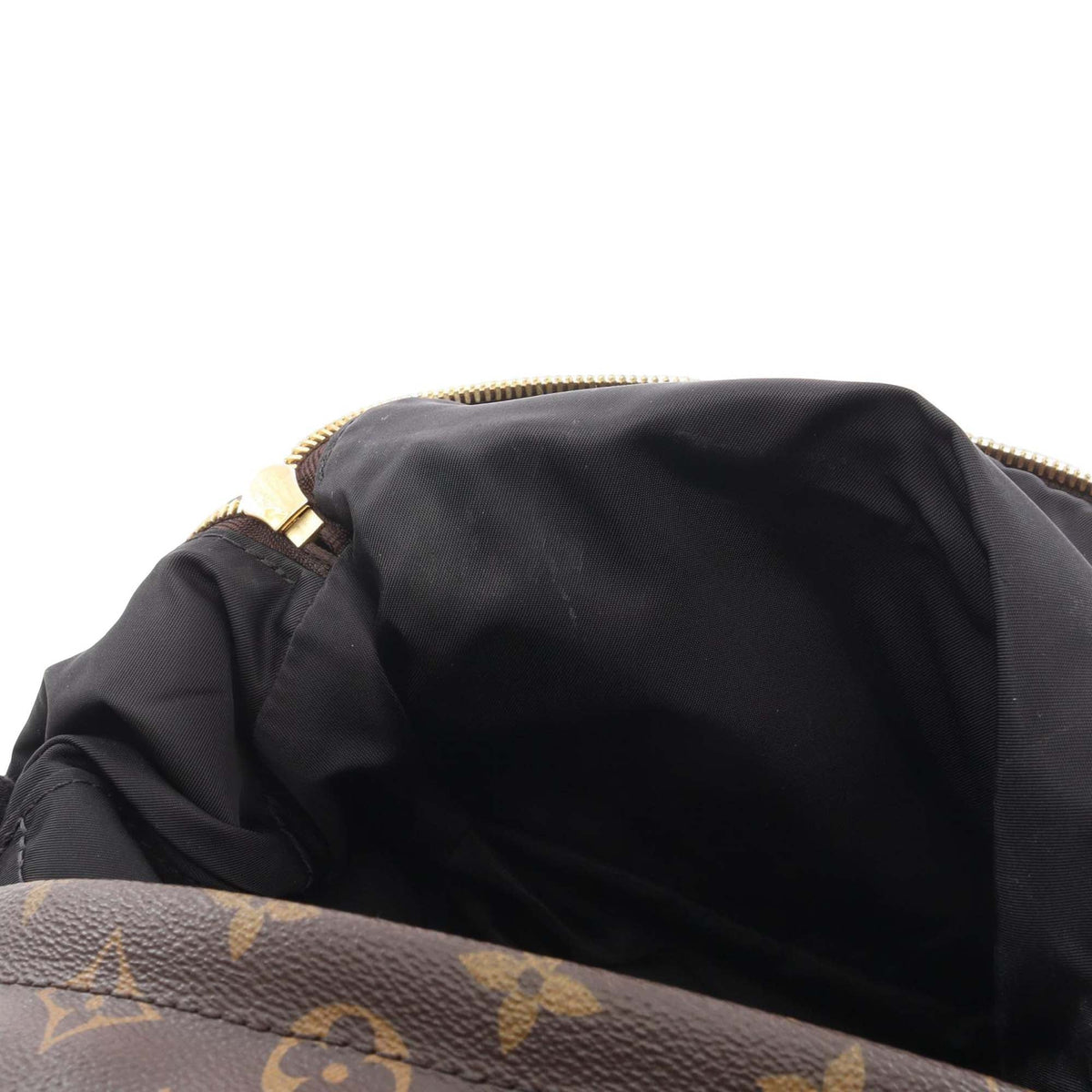 Louis Vuitton Monogram Palm Springs PM