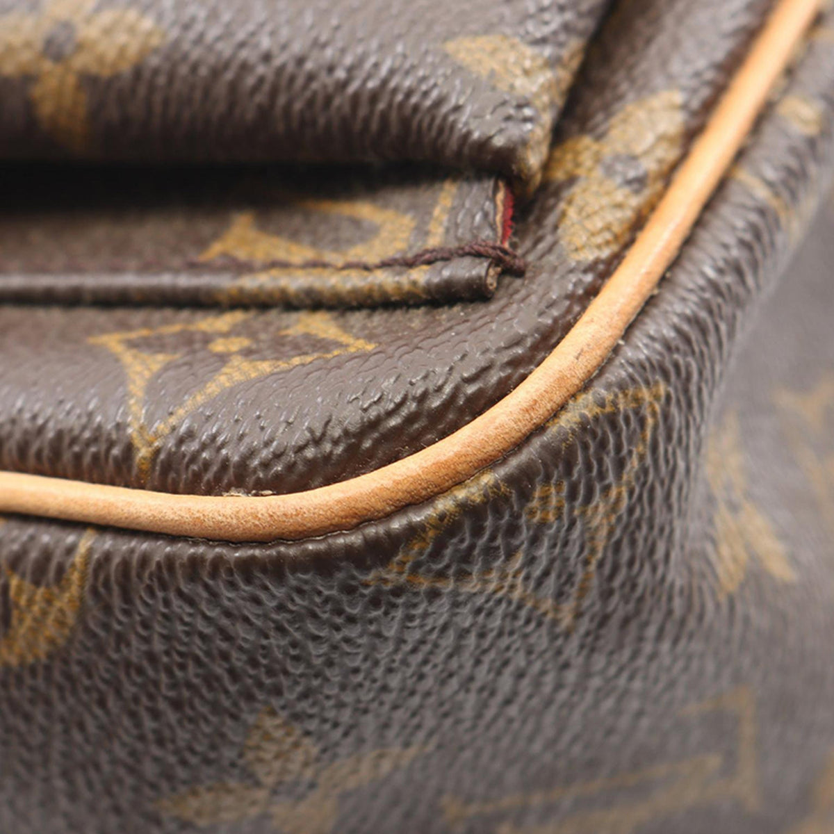 Louis Vuitton Monogram Viva Cite PM
