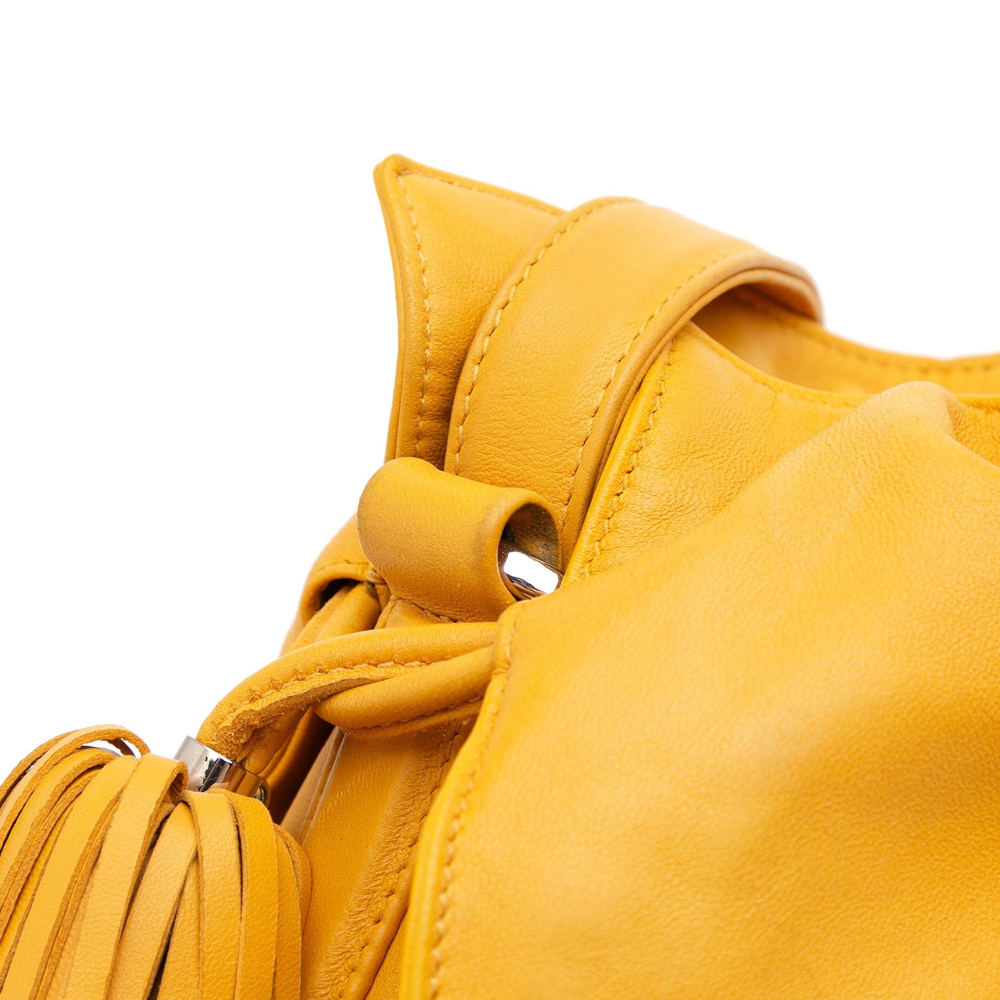 LOEWE Nappa Flamenco Tassel 22 Crossbody