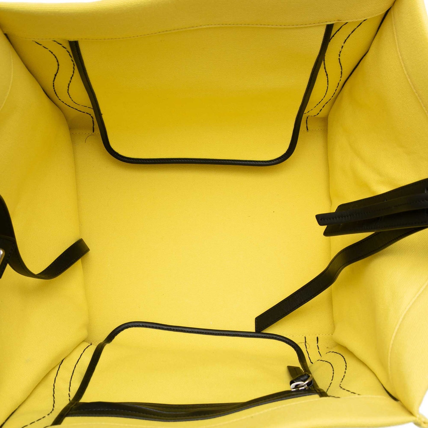 Celine Medium Canvas Phantom Luggage Tote