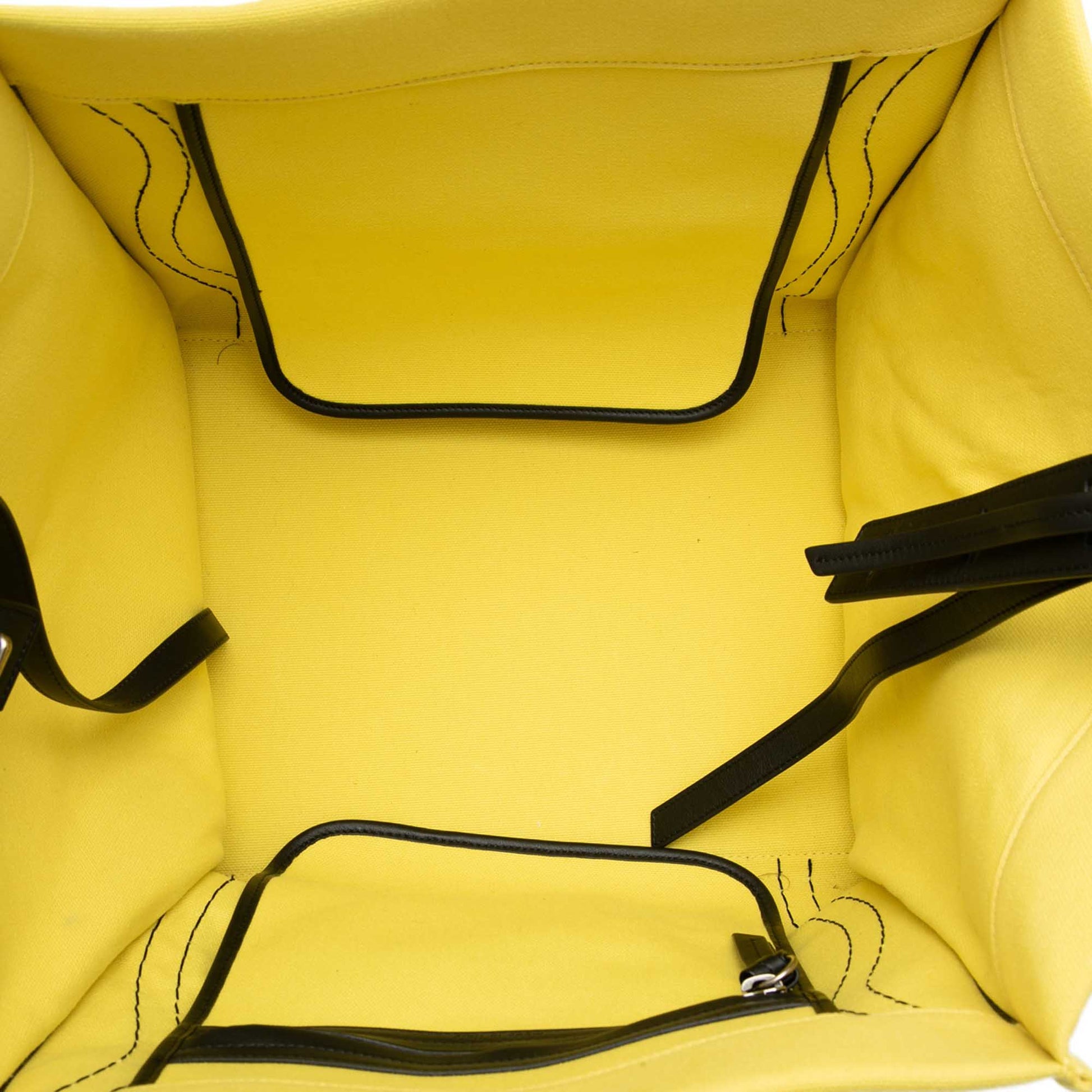 Celine Medium Canvas Phantom Luggage Tote
