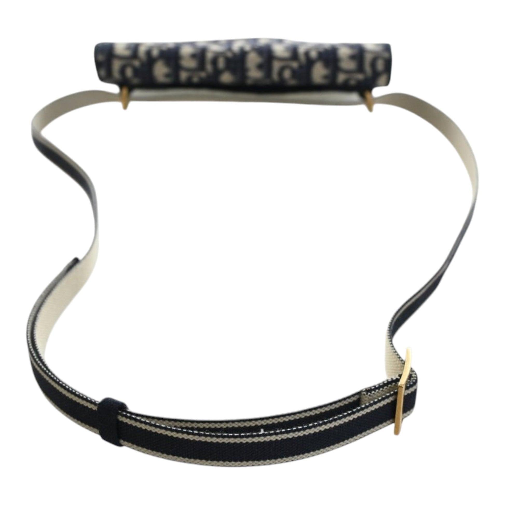 Dior Oblique Canvas Embroidered Saddle Slim Belt Pouch