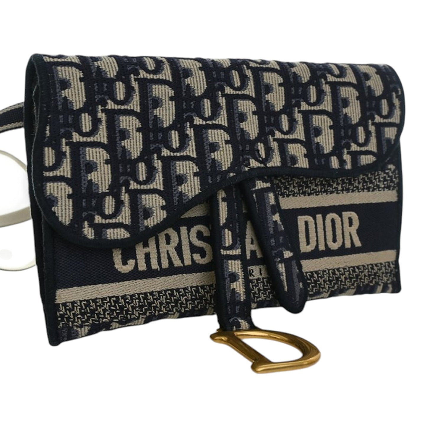 Dior Oblique Canvas Embroidered Saddle Slim Belt Pouch