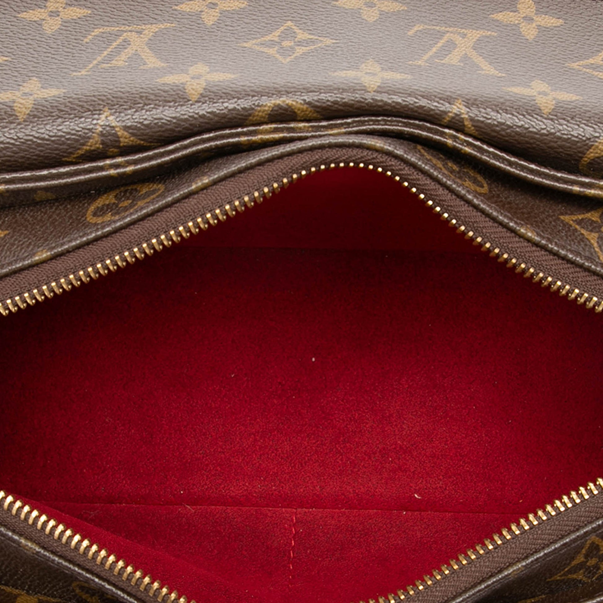 Louis Vuitton Monogram Viva Cite MM
