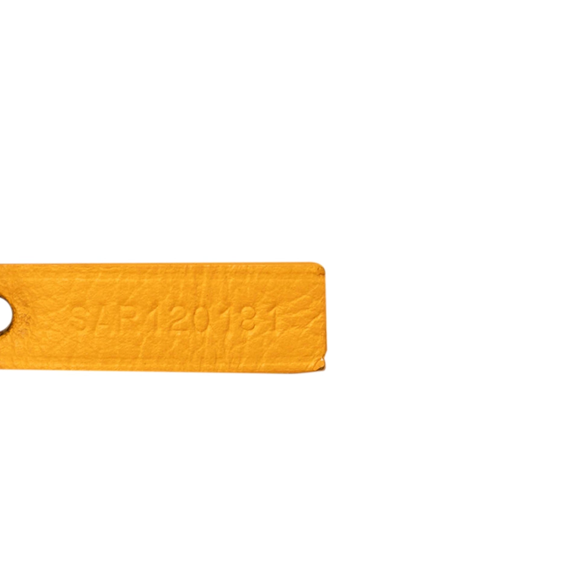 Goyard Goyardine Saint Louis PM