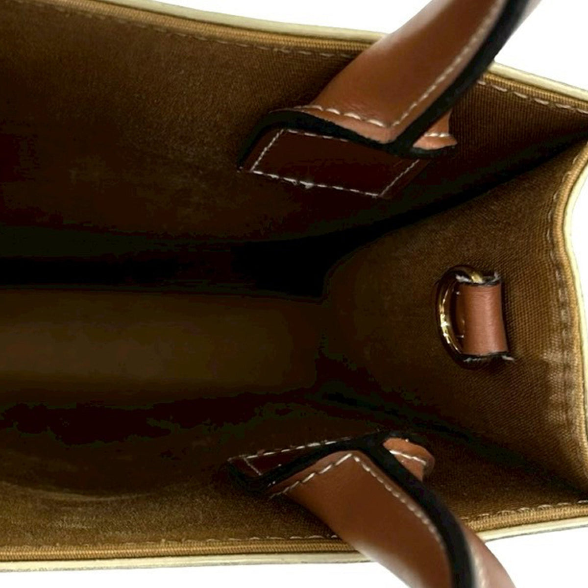 Celine Mini Triomphe Coated Canvas Vertical Cabas Satchel