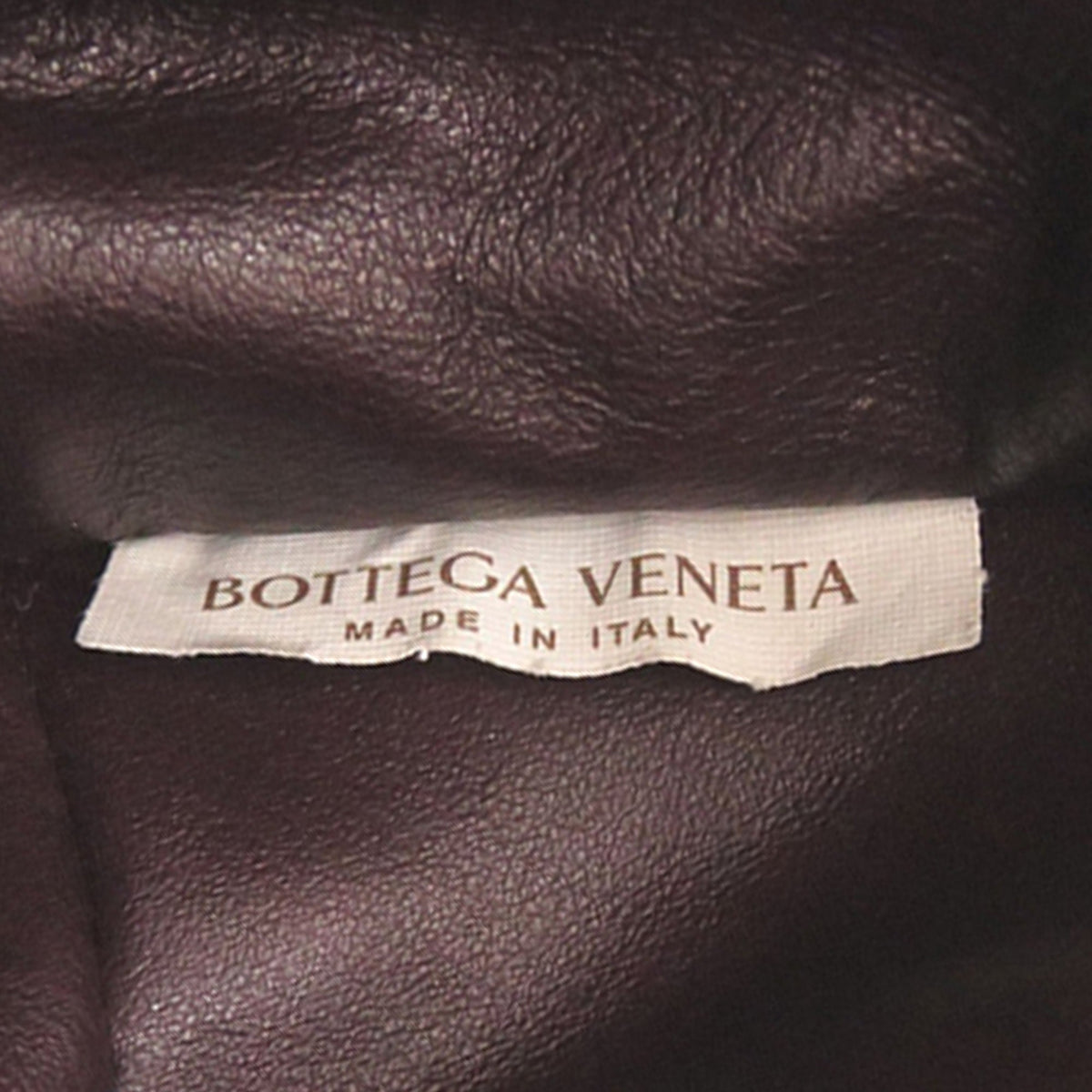 Bottega Veneta Mini The Bulb