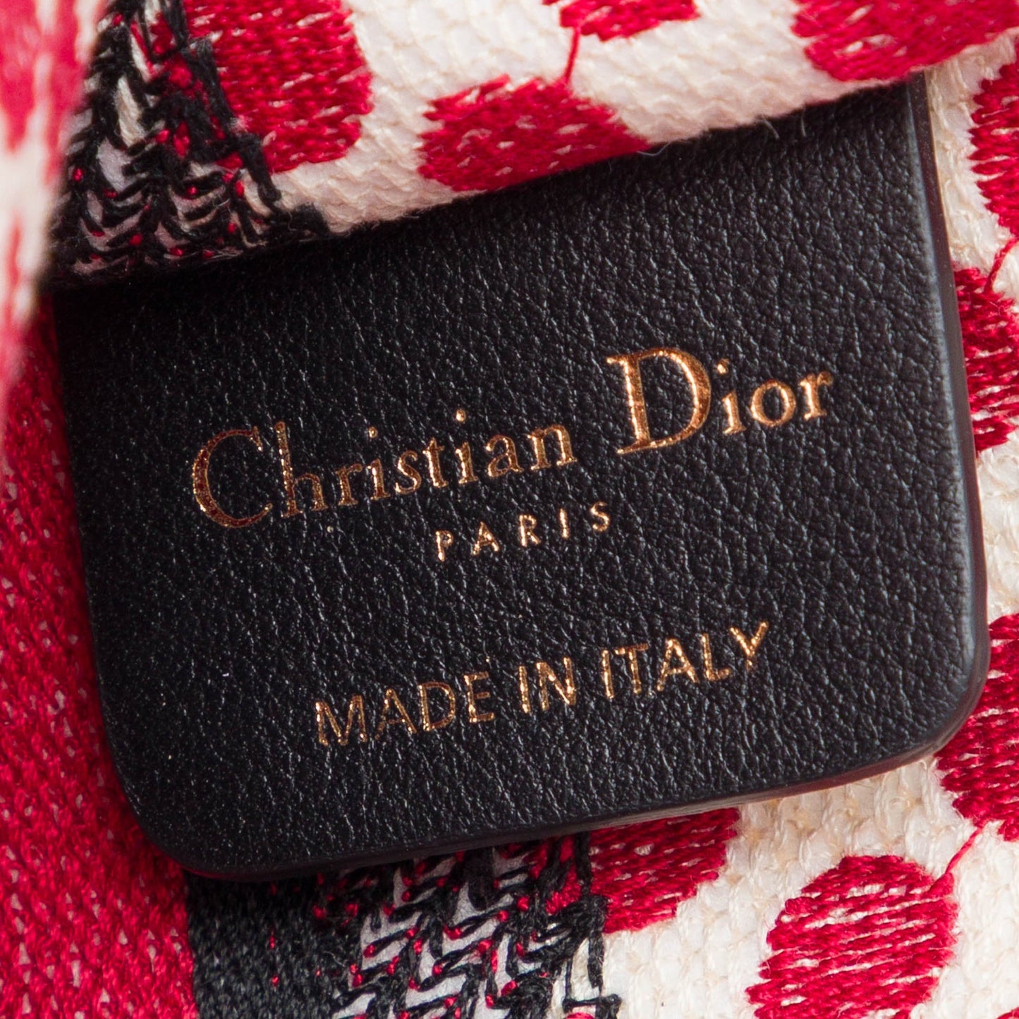Dior DiorAmour Mini Embroidered Canvas Dots Book Tote