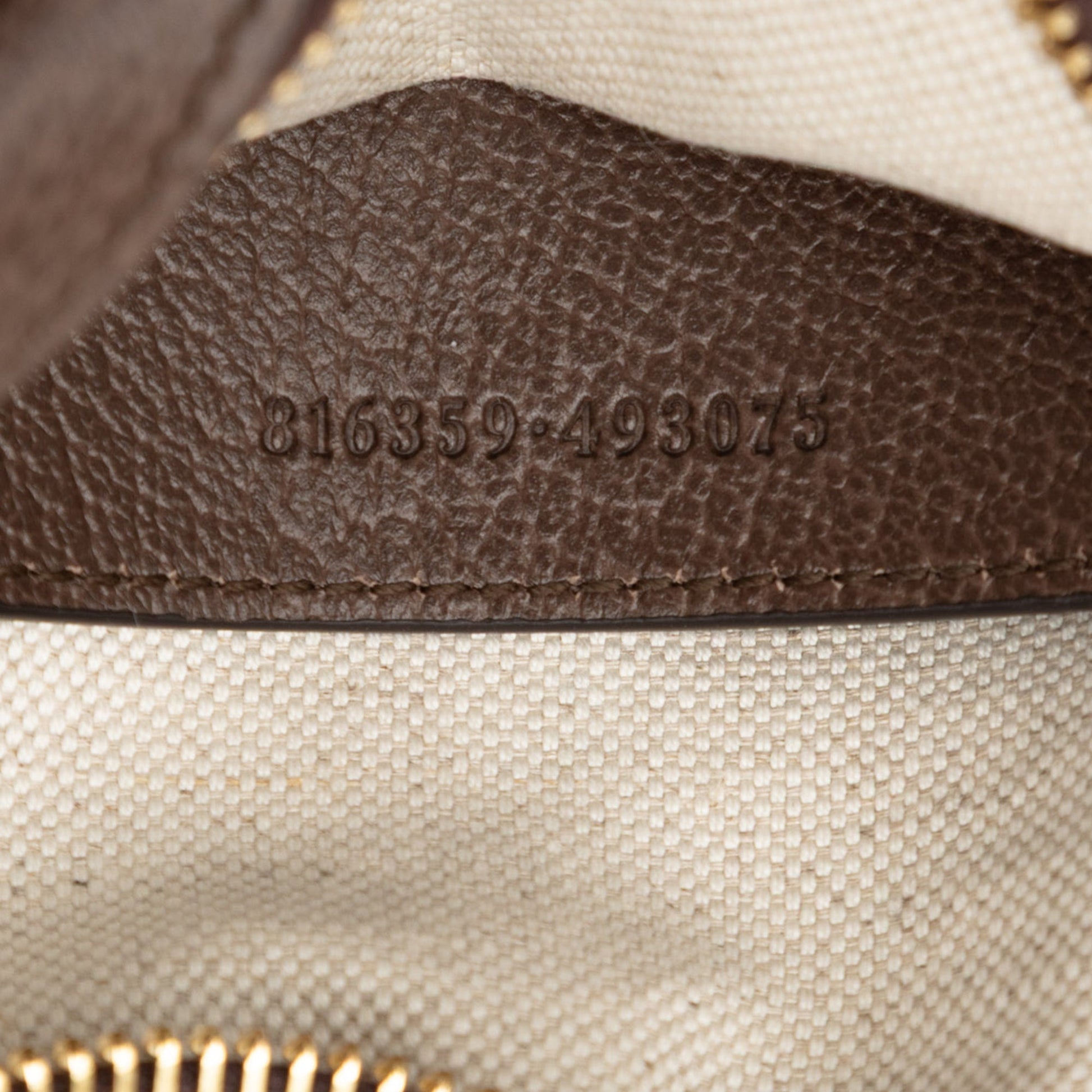 Gucci Mini GG Supreme Web Ophidia Crossbody