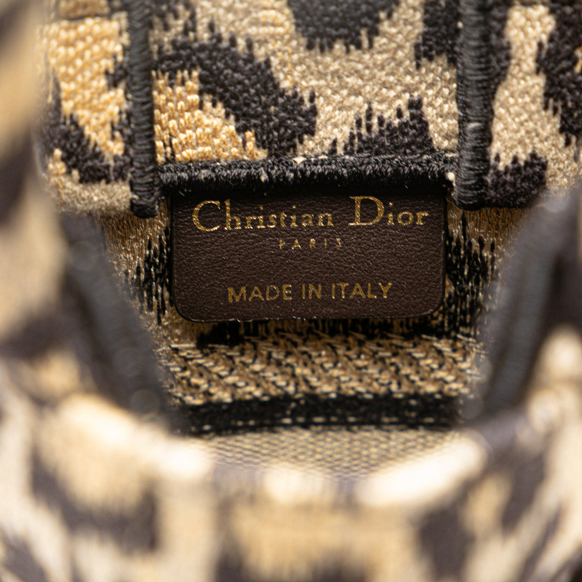Dior Mizza Mini Embroidered Canvas Leopard Vertical Book Tote — Brown