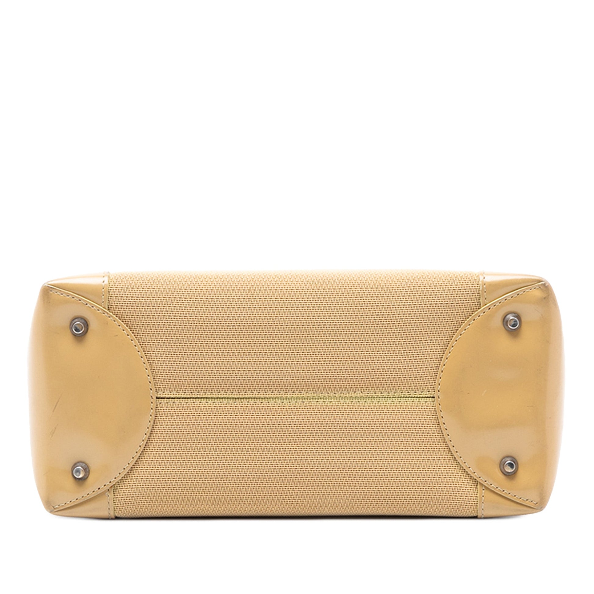 Medium Canvas Lady Dior